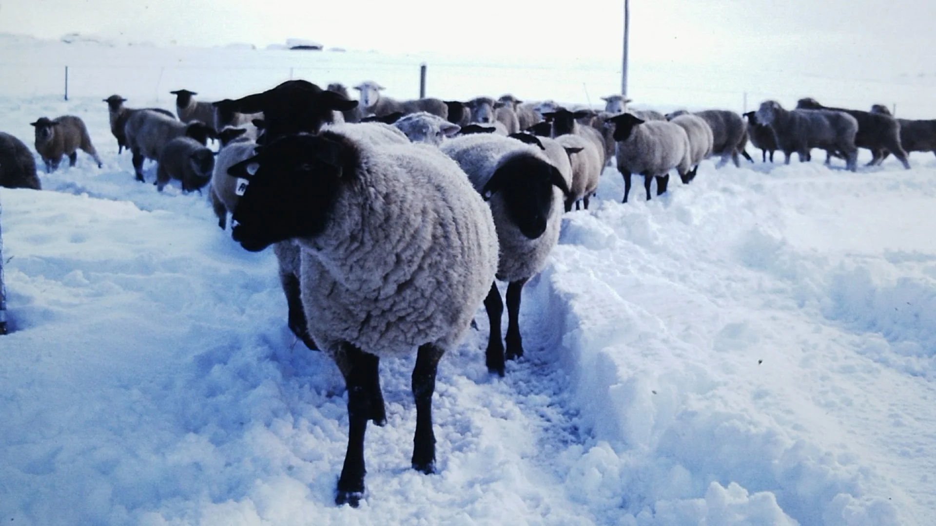 7 September.033.jpeg