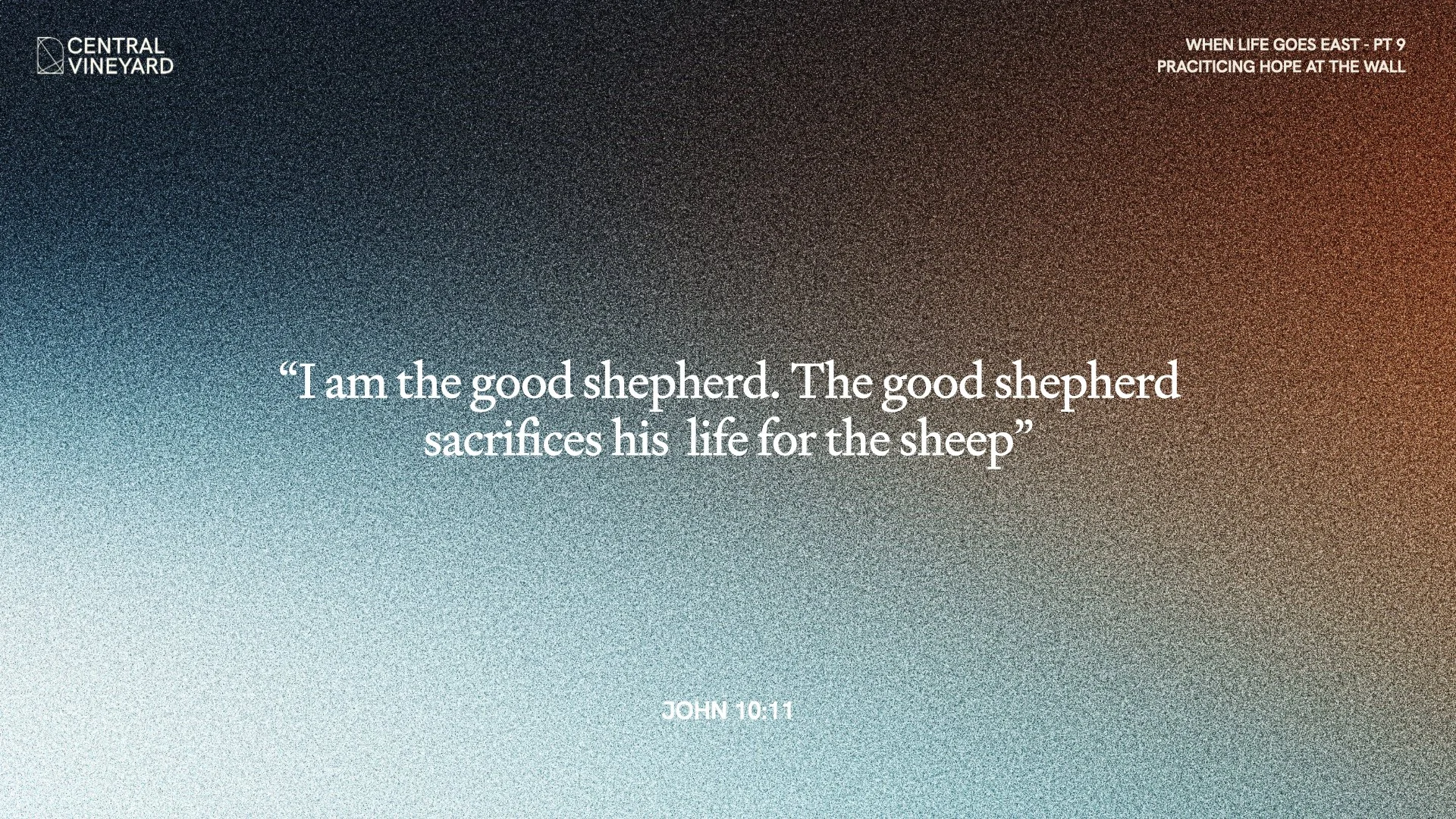 7 September.038.jpeg