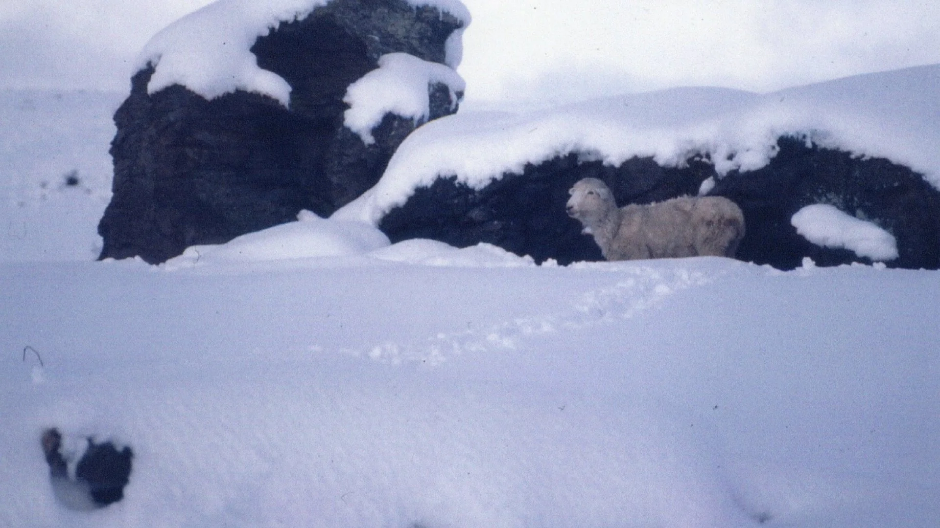 7 September.052.jpeg