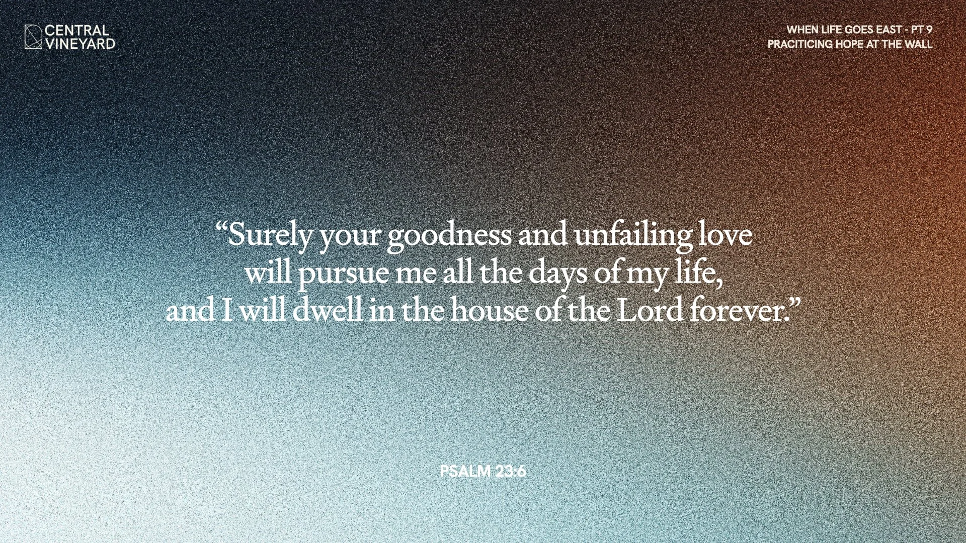 7 September.058.jpeg