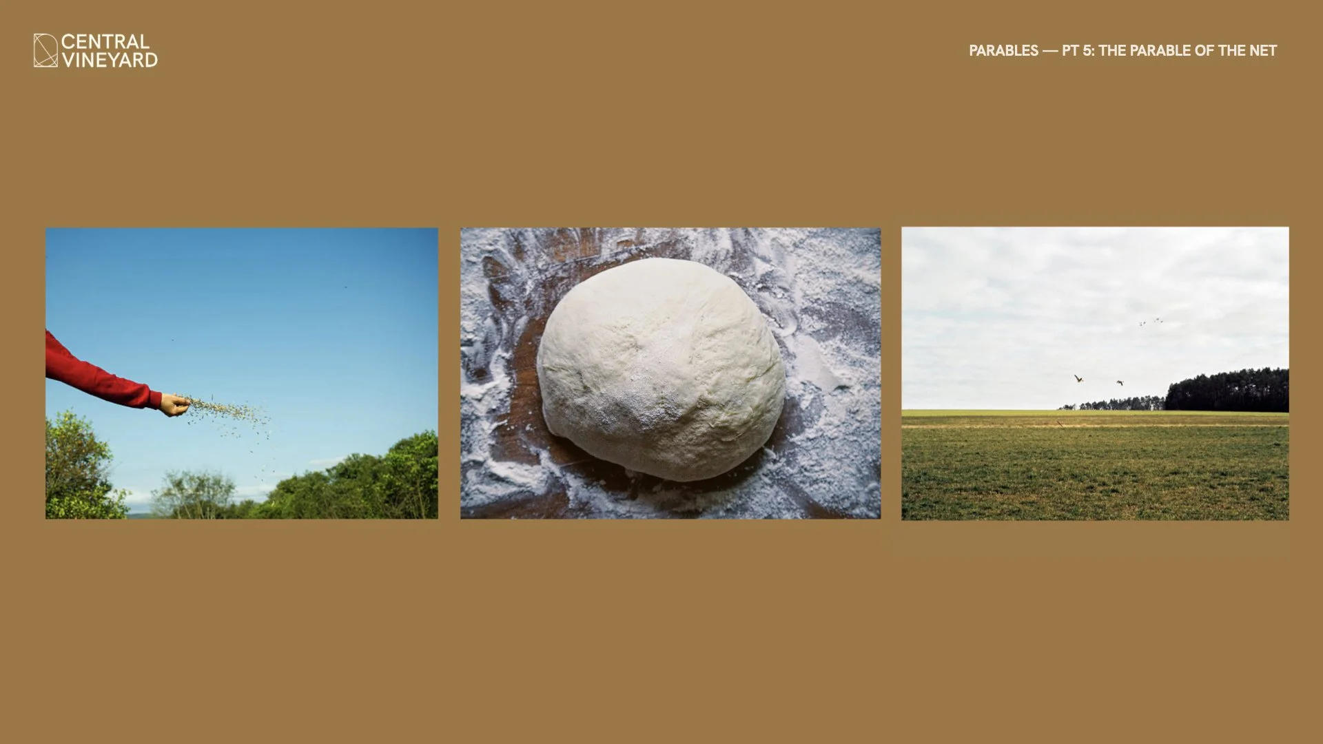 15 November.030.jpeg