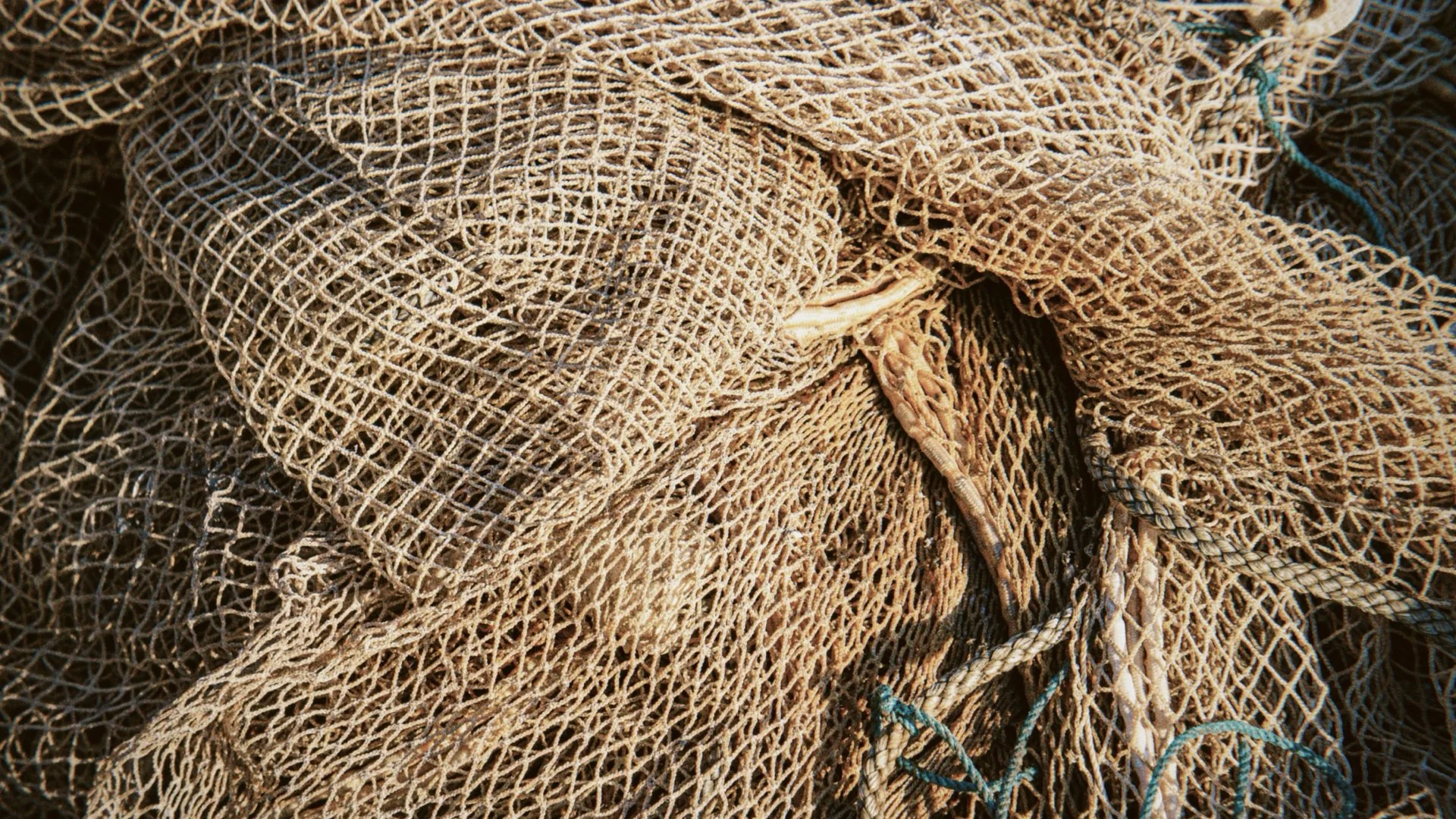 15 November.034.jpeg