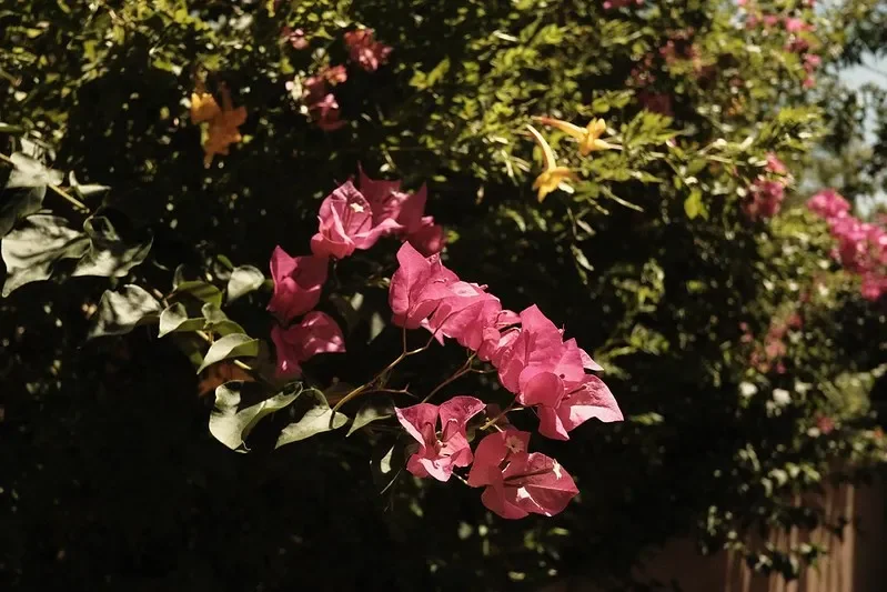 When Life Goes East — pt 5: Practicing Hope in Anxiety