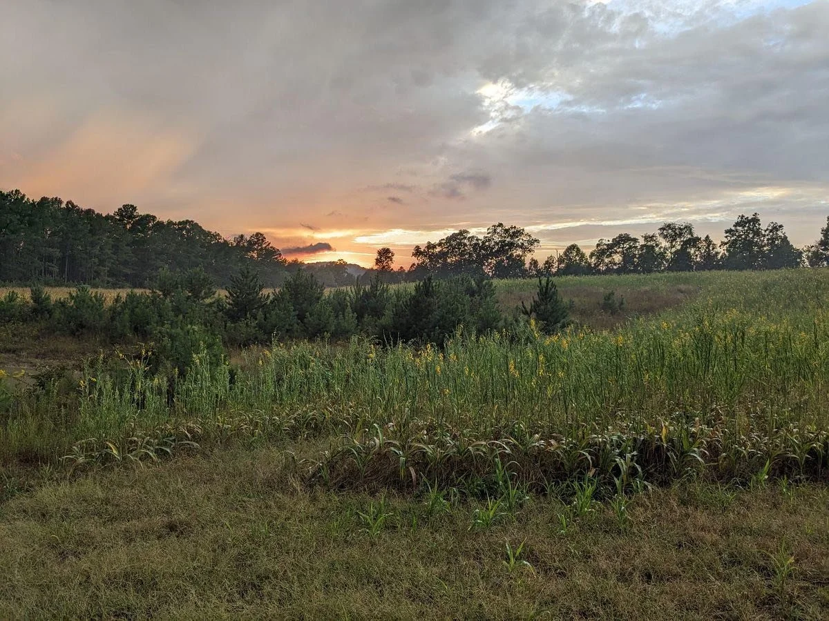 If you got a tag this year for TN crane. Hit me up and we can set you up and amazing crane hunt in Dayton Tn. Sandhill crane pit looking amazing.  @tetrahearing @hybridboatco @beretta_firearms @canamoffroad  @gailmardwill2 @jesse_lafollett