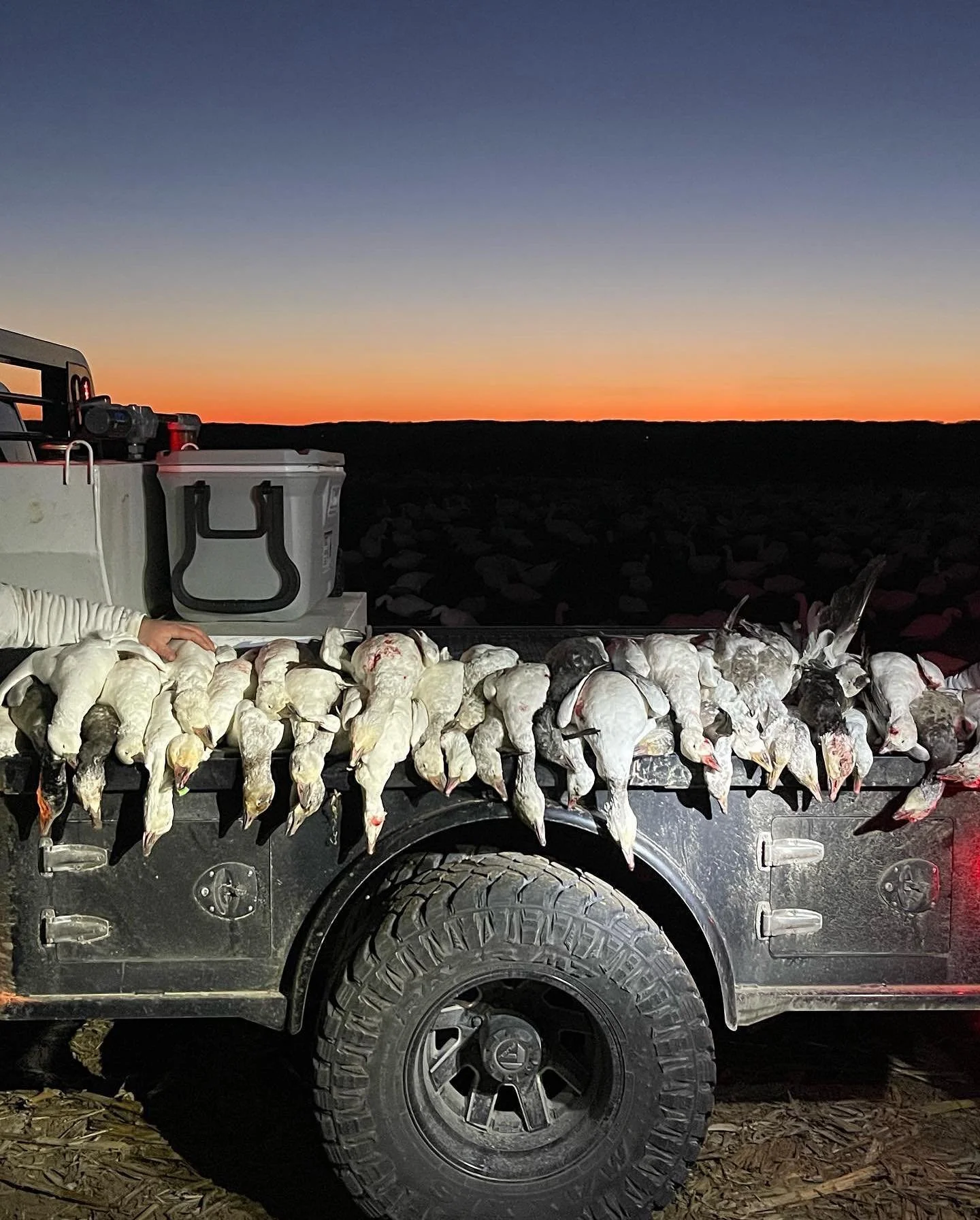 Missing these days already. But ready for the building of the farms this summer and getting everything ready. @thequackshackpodcast @apex_ammunition @duckcampco @hybridboatco @cruxoutdoorsco @grain.inn @tetrahearing @southernhondapowersports