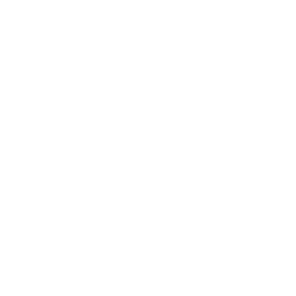 world map icon
