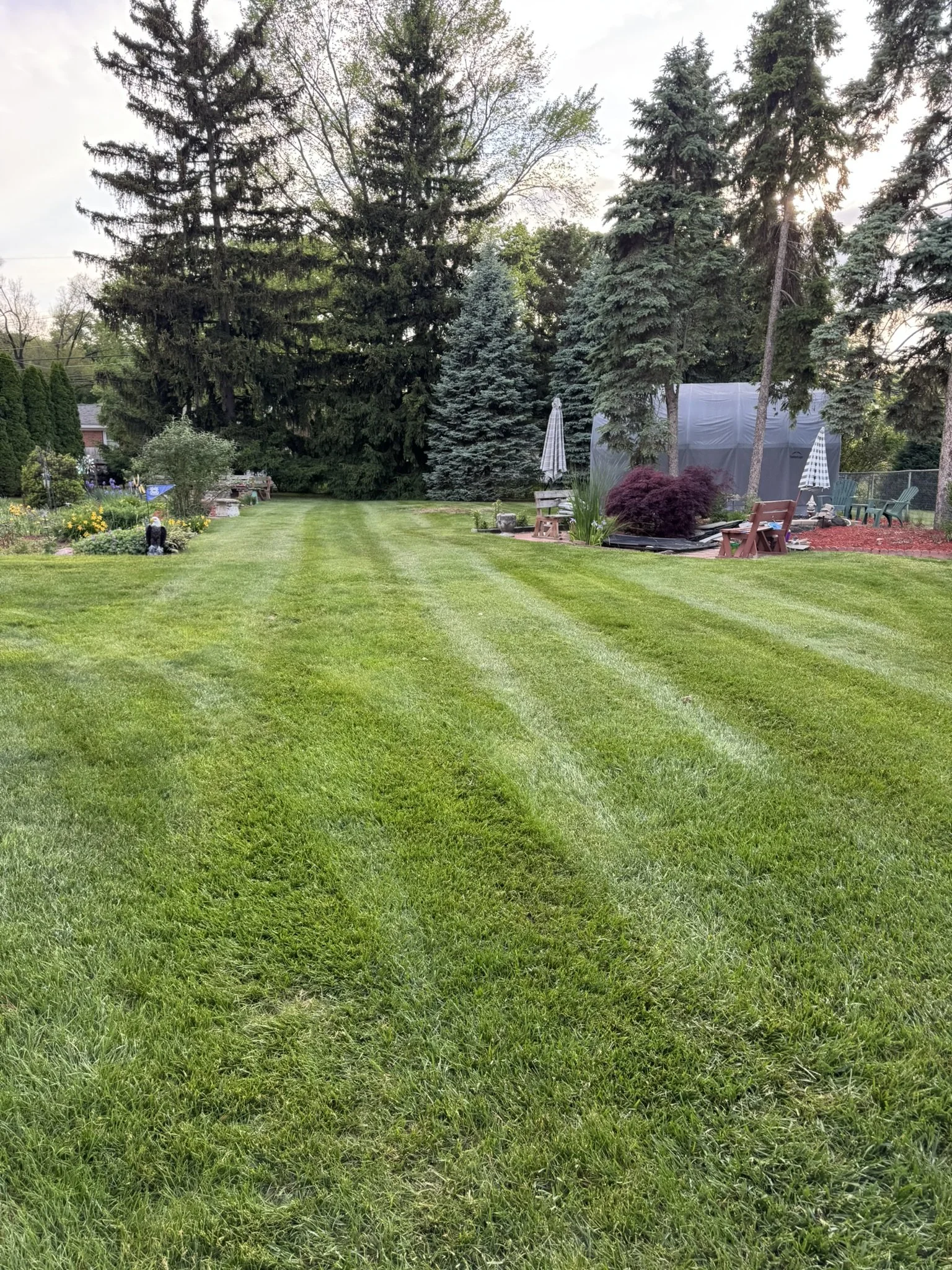 A well-maintained lawn with freshly mowed grass and visible mowing lines, bordered by trees and garden furniture with umbrellas in the background.