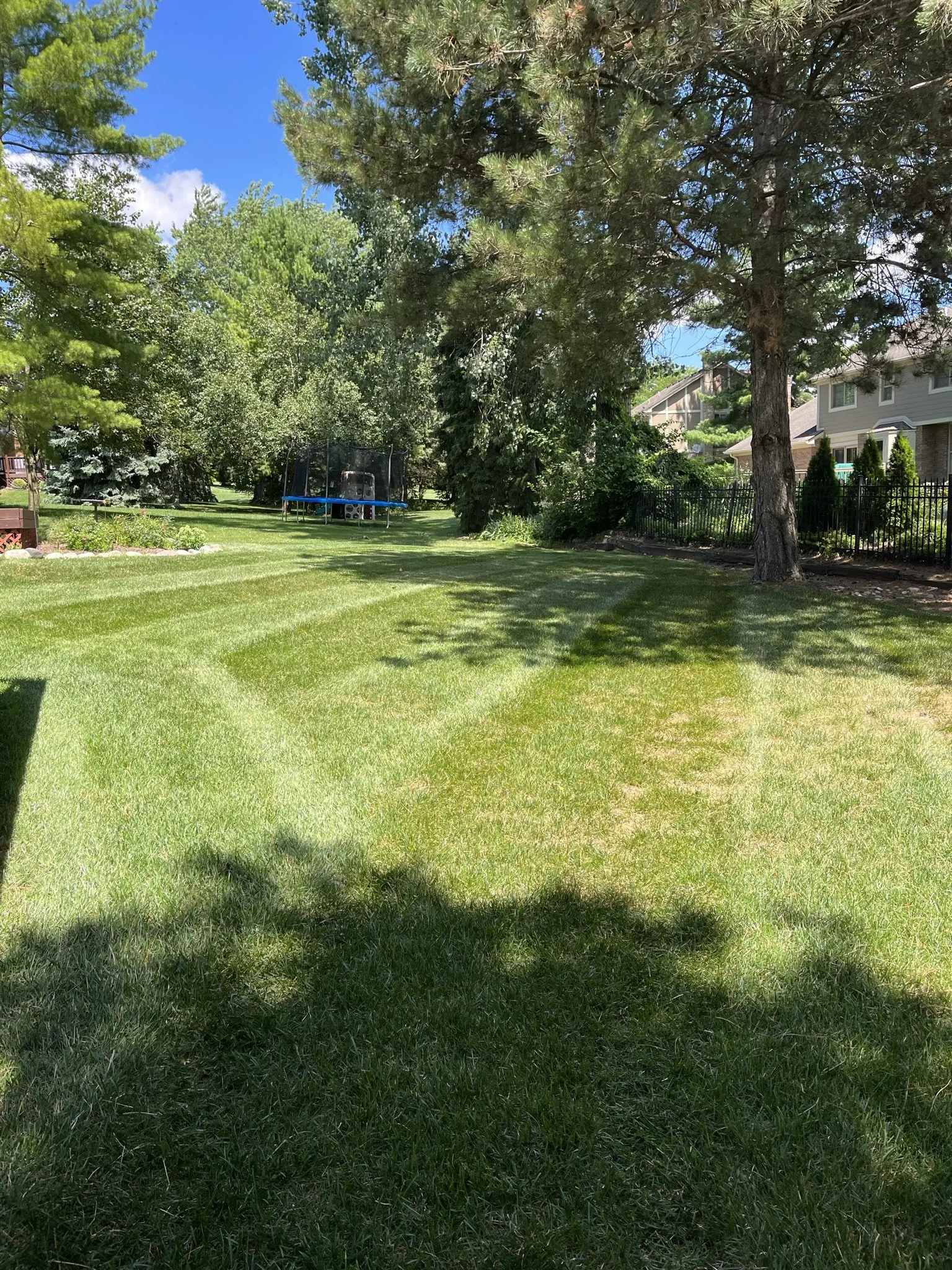 A backyard with well-maintained green grass, large trees providing shade, a trampoline with a safety net, and neighboring houses with fences and shrubbery, under a bright sunny sky.