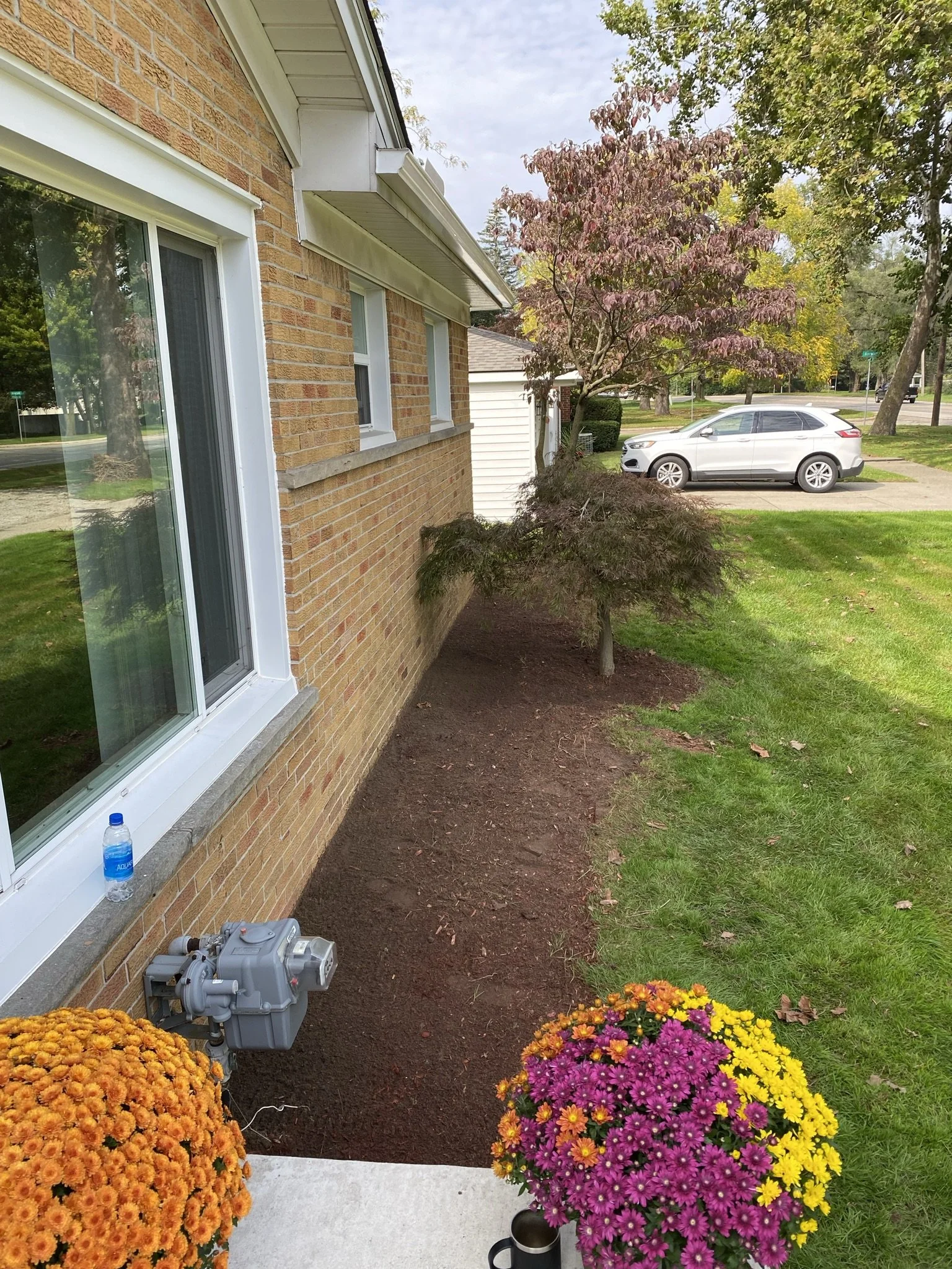 View of the side of a house with a brick wall, window, and gutter, showing a freshly planted flower bed with orange, pink, and yellow chrysanthemums, a water bottle, and a garden hose near the house. A small decorative cup is in the foreground.