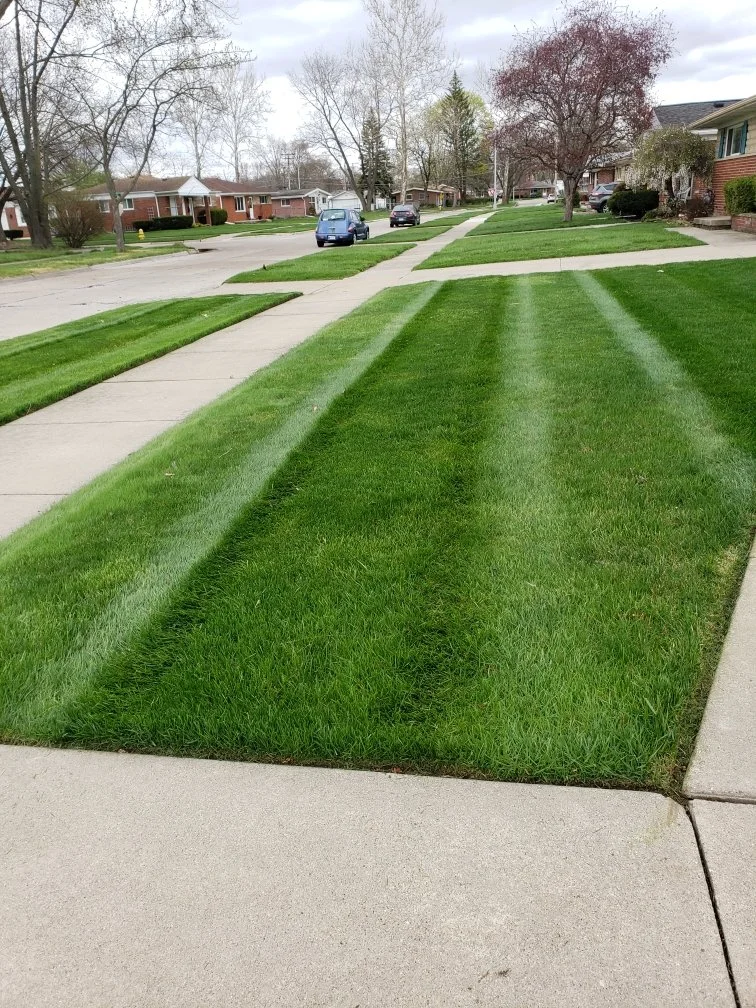 Well-maintained suburban neighborhood with freshly mowed grass, concrete sidewalks, and brick houses. Several cars are parked along the street, and trees line the background.
