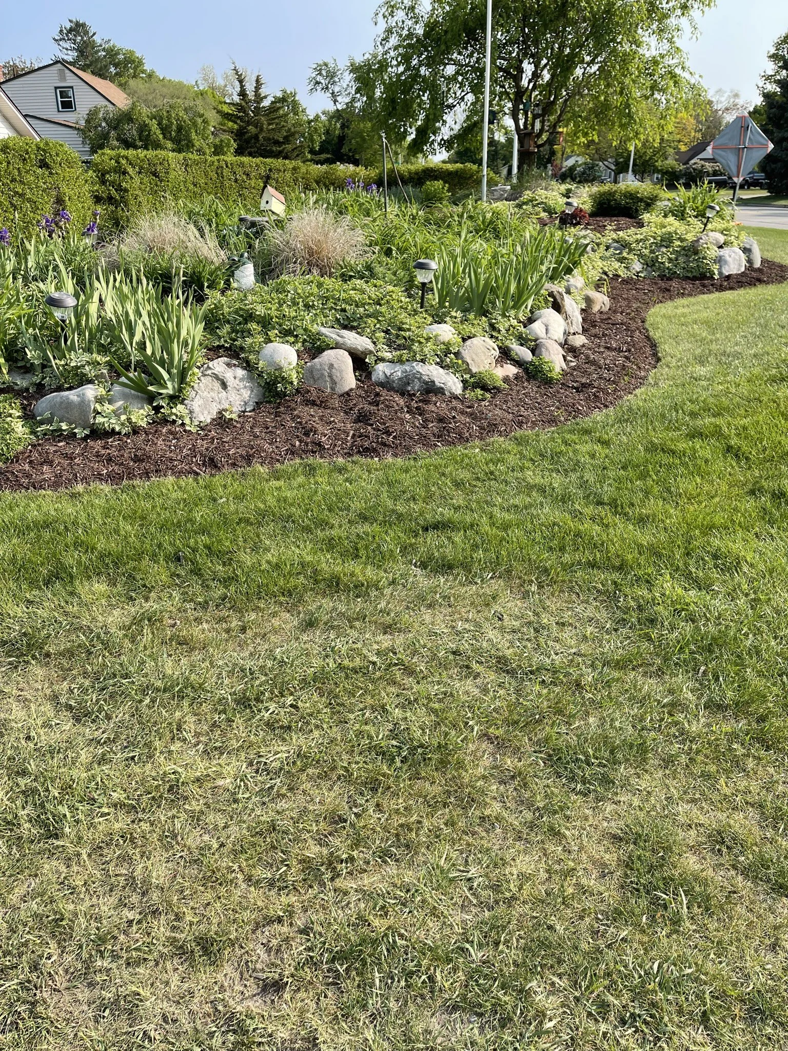 A well-maintained garden with lush green grass, mulch beds, flowering plants, shrubs, rocks, and a tree, with houses and a street visible in the background.