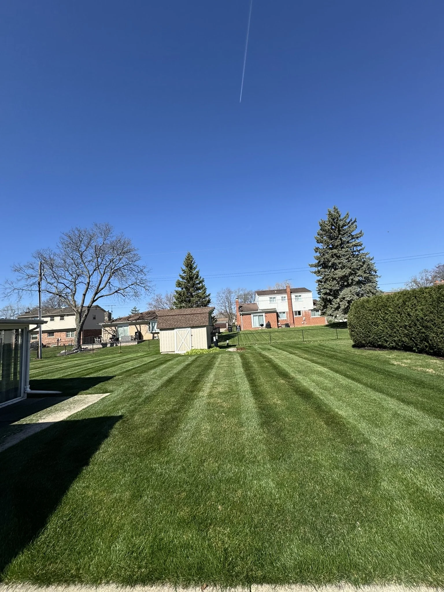 A backyard with neatly mowed green grass, a small shed, trees, houses, and a clear blue sky with a contrail.