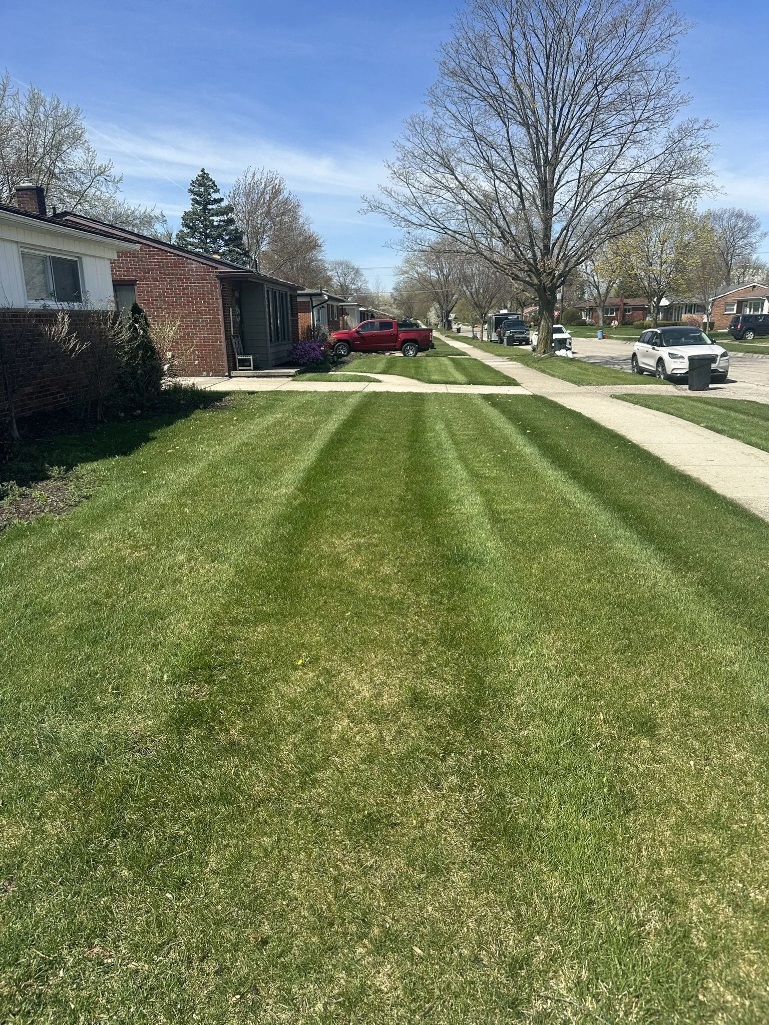 Residential street with green lawn, sidewalk, row of houses, parked cars, large tree, and a blue sky.