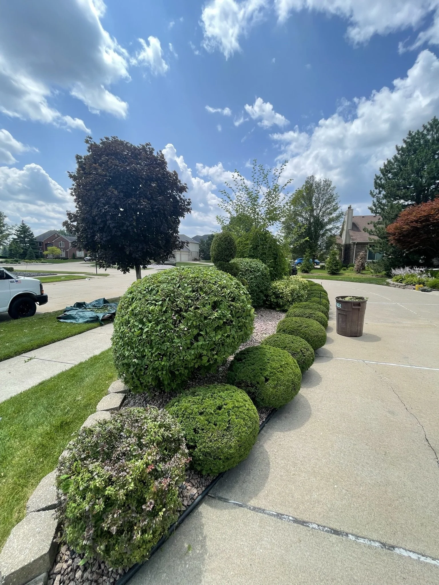 A row of neatly trimmed bushes and trees along a sidewalk in a residential neighborhood under a partly cloudy sky.