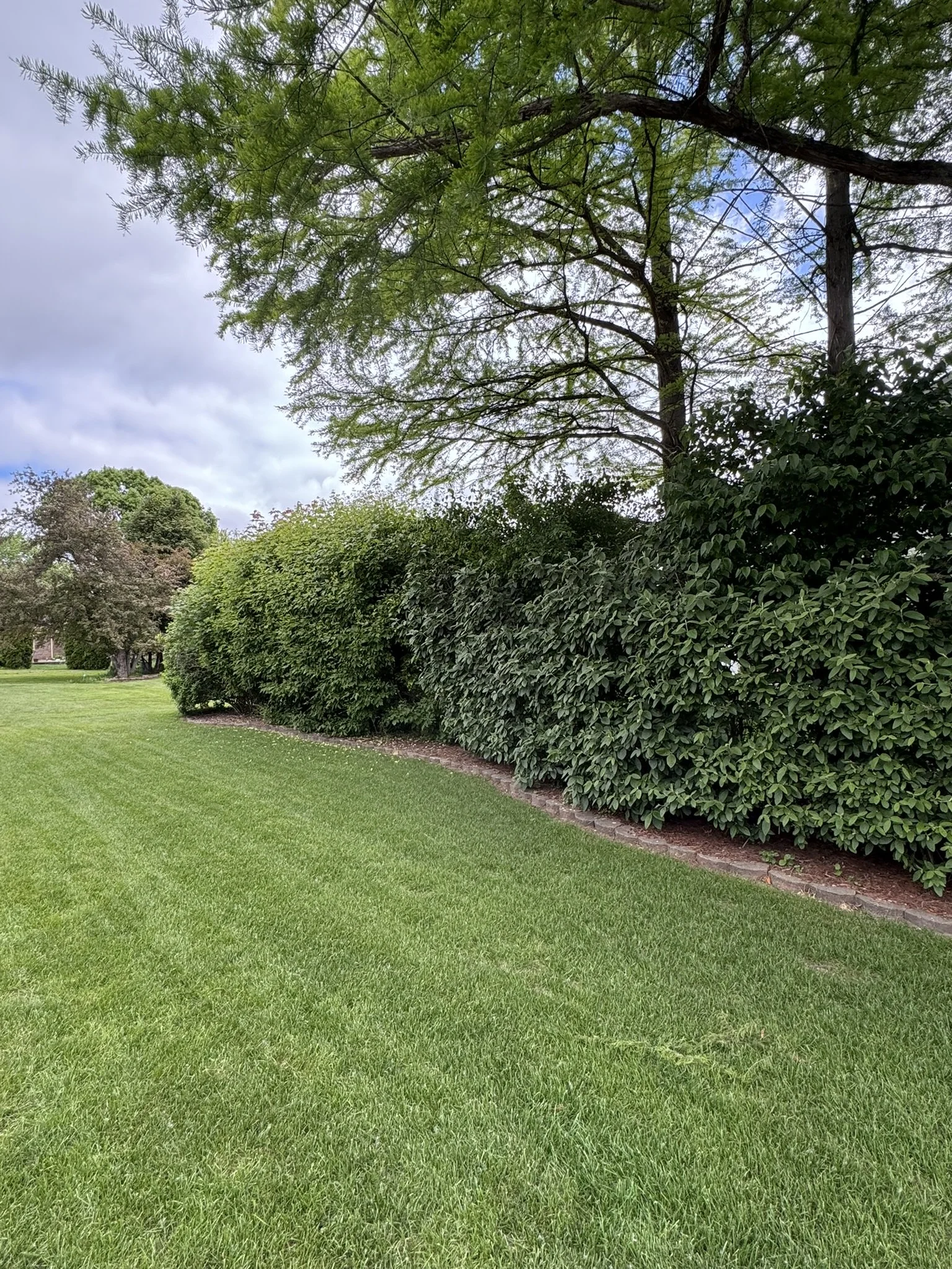 View of a well-maintained grassy lawn, dense green hedge along a brick border, and trees with green foliage under a partly cloudy sky.