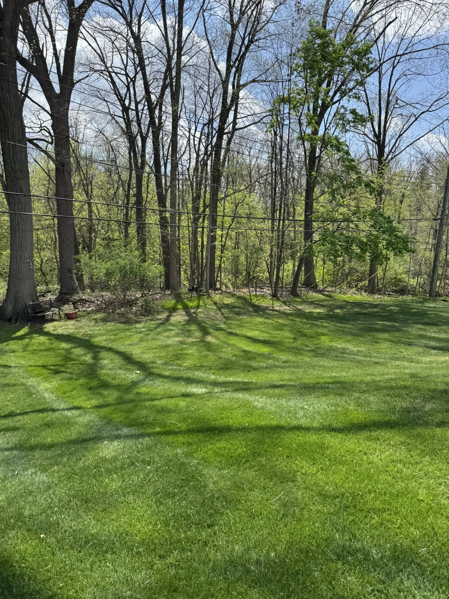 A backyard with a well-maintained green lawn and a wooded area with leafless and budding trees under a clear blue sky.