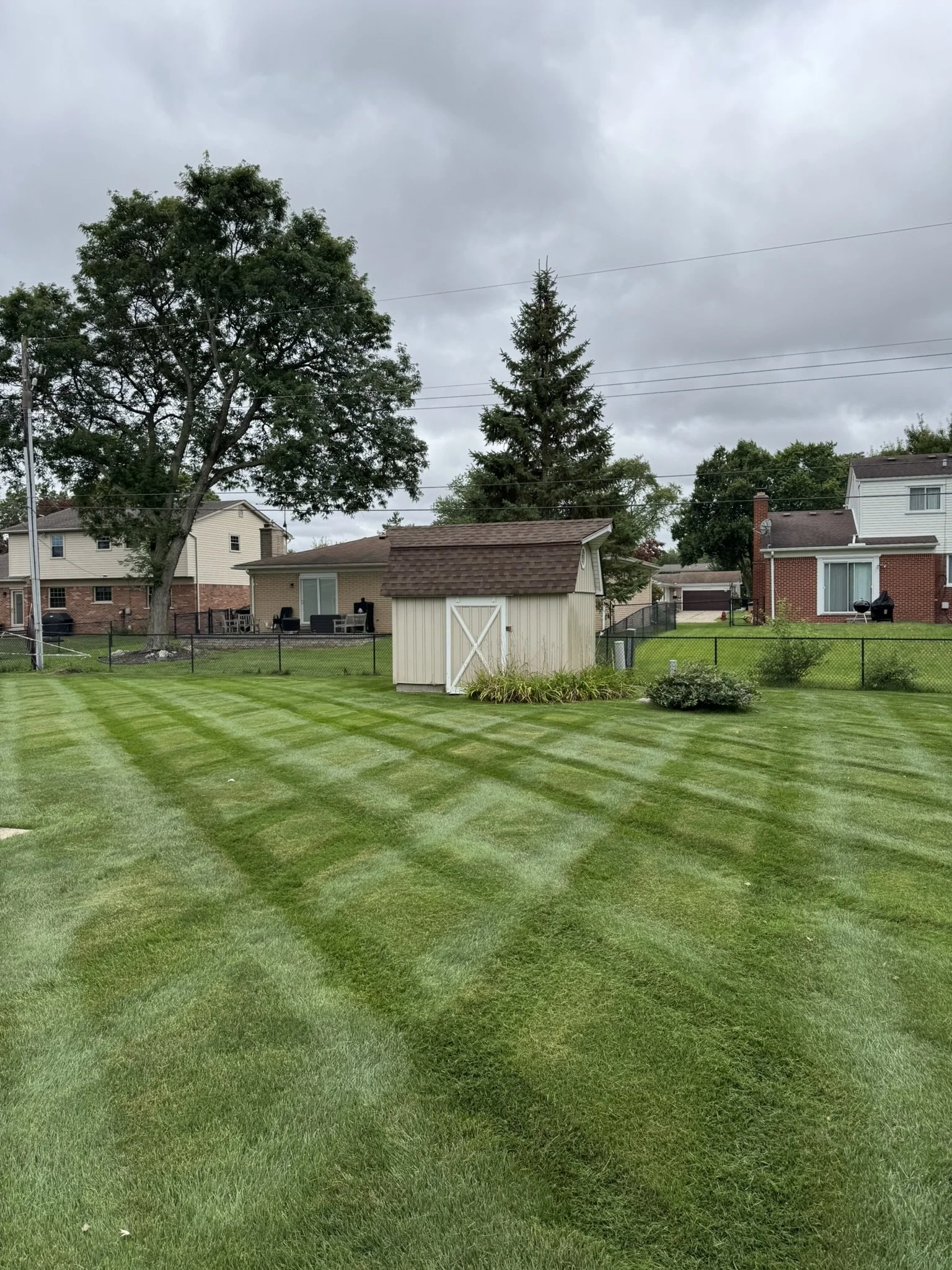 Well-maintained yard with striped green grass, a small shed, and neighboring houses under cloudy sky.