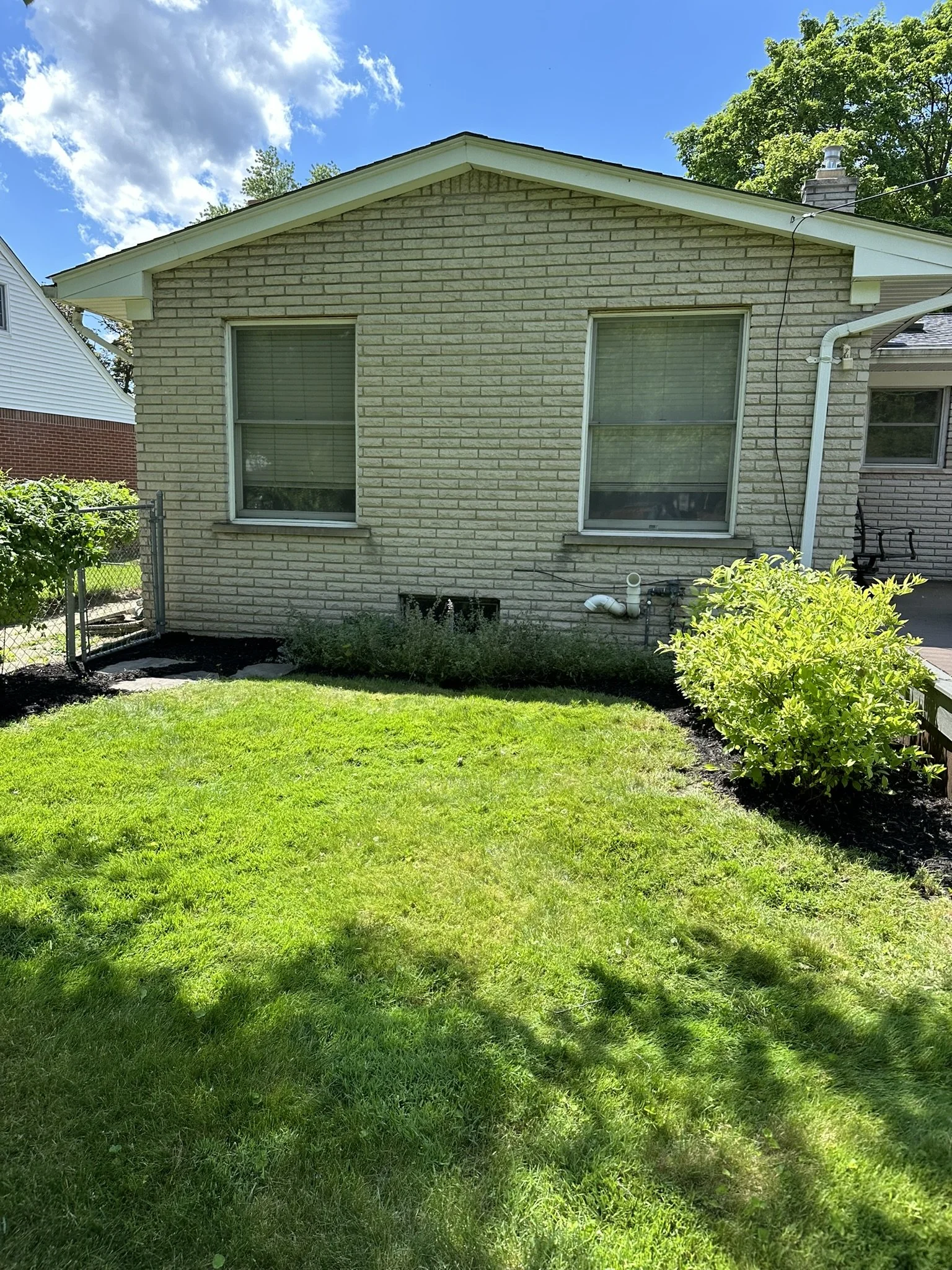 Backyard with green grass, a small garden bed with shrubs, chain-link fence, two large windows with blinds on a brick house under a blue sky with clouds.