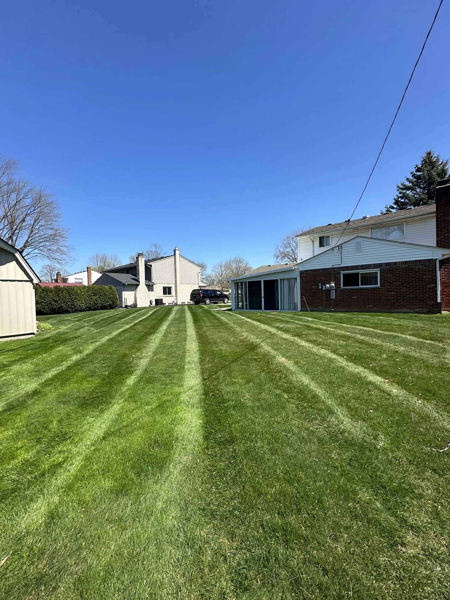 Residential backyard with well-manicured green grass and stripes, houses in the background, and a clear blue sky.