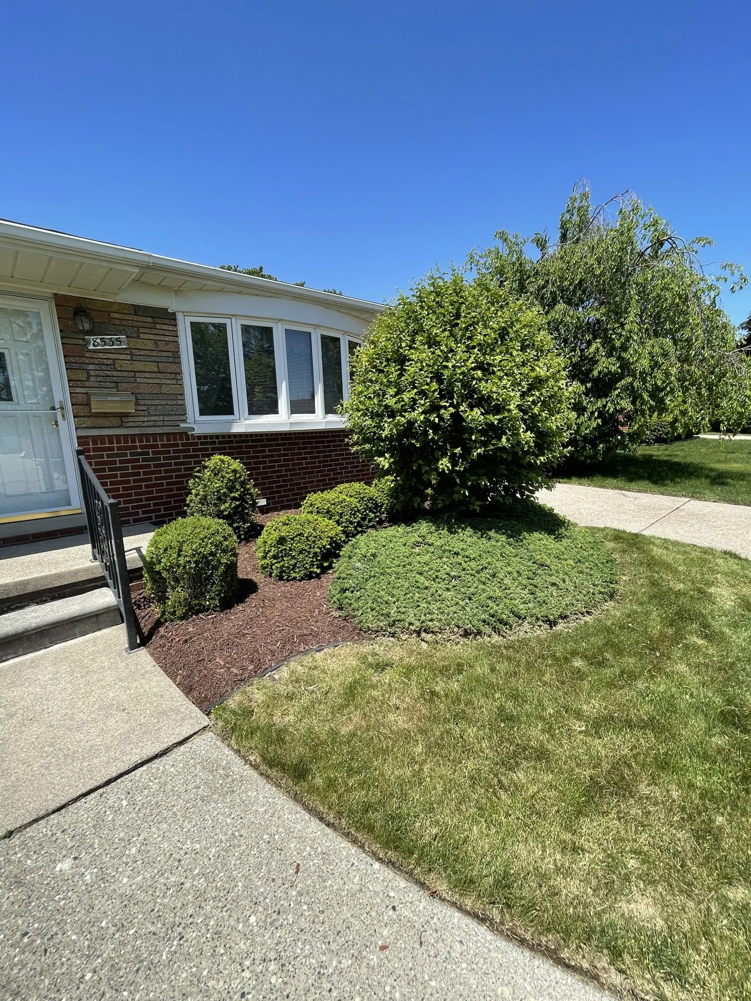 Front yard of a house with a concrete pathway, well-maintained bushes and grass, and a large green tree under a bright blue sky.