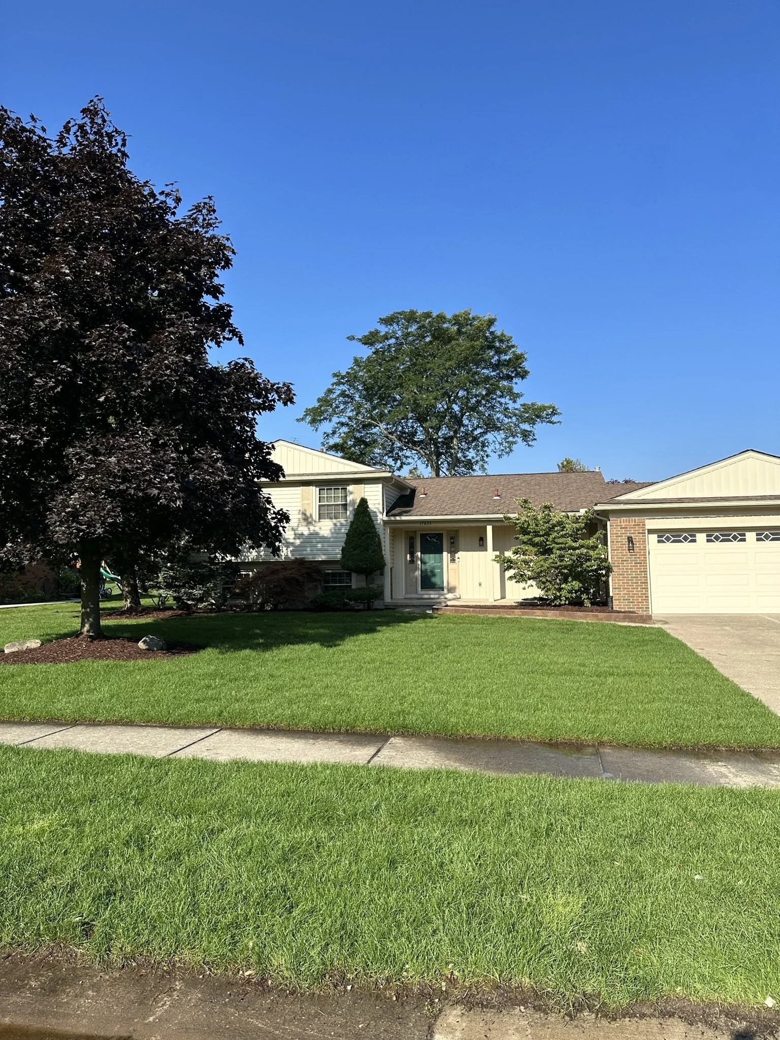 Front yard of a suburban house with green grass, trees, a concrete walkway, and a driveway under a clear blue sky.