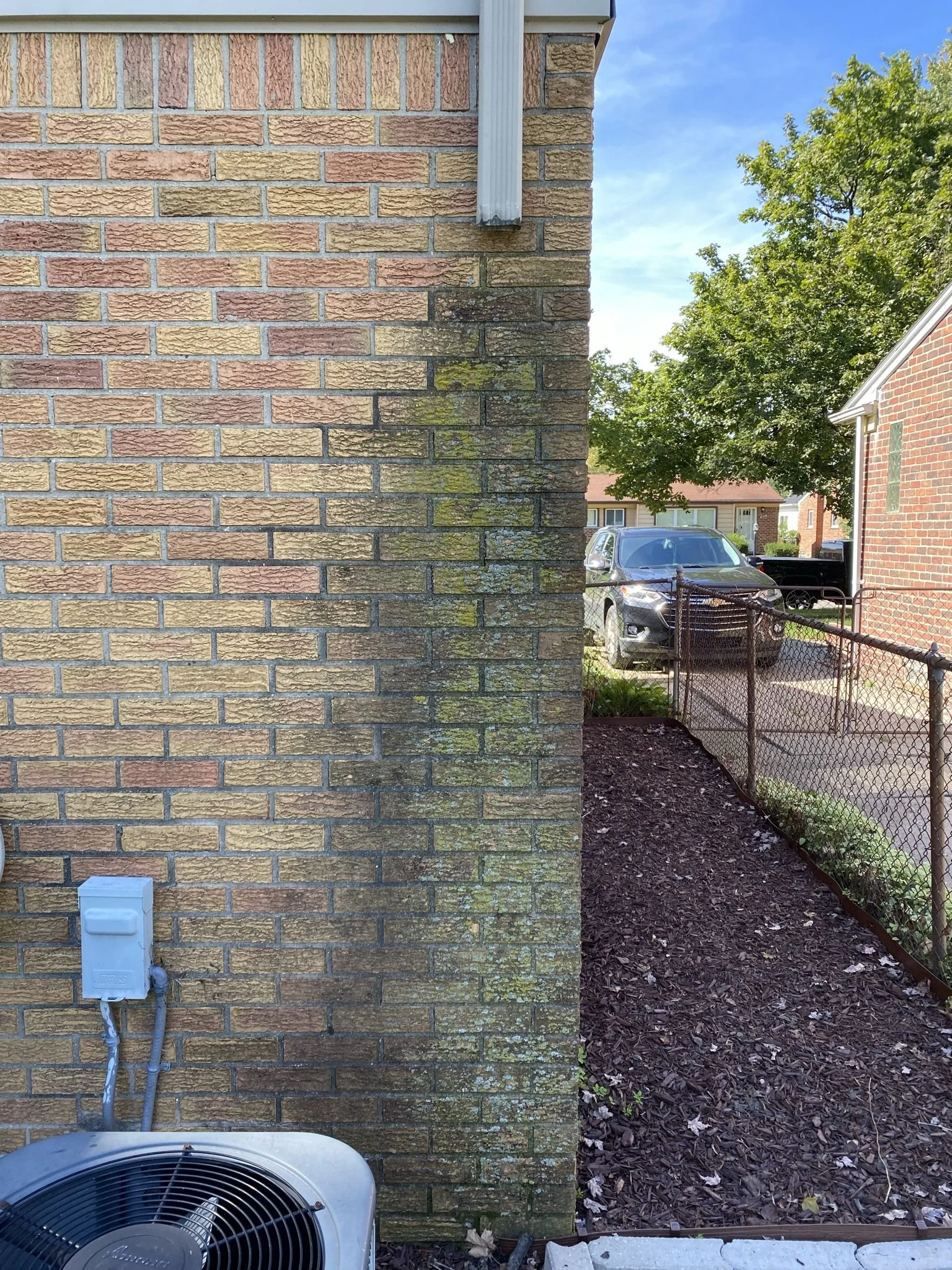 Close-up of a brick house wall with green moss and algae growth, electrical box and an air conditioning unit, next to a small garden bed and a chain-link fence with a parked car in the background.