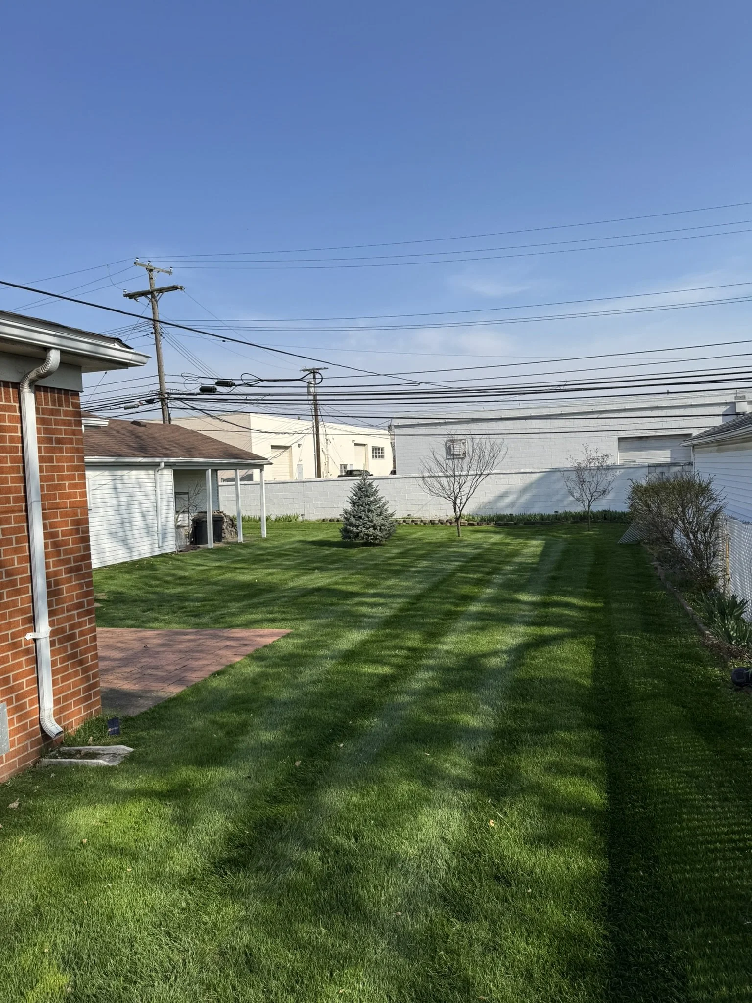 A backyard with green grass, small trees, a brick house on the left, and a white fence on the right. Overhead power lines are visible against a clear blue sky.