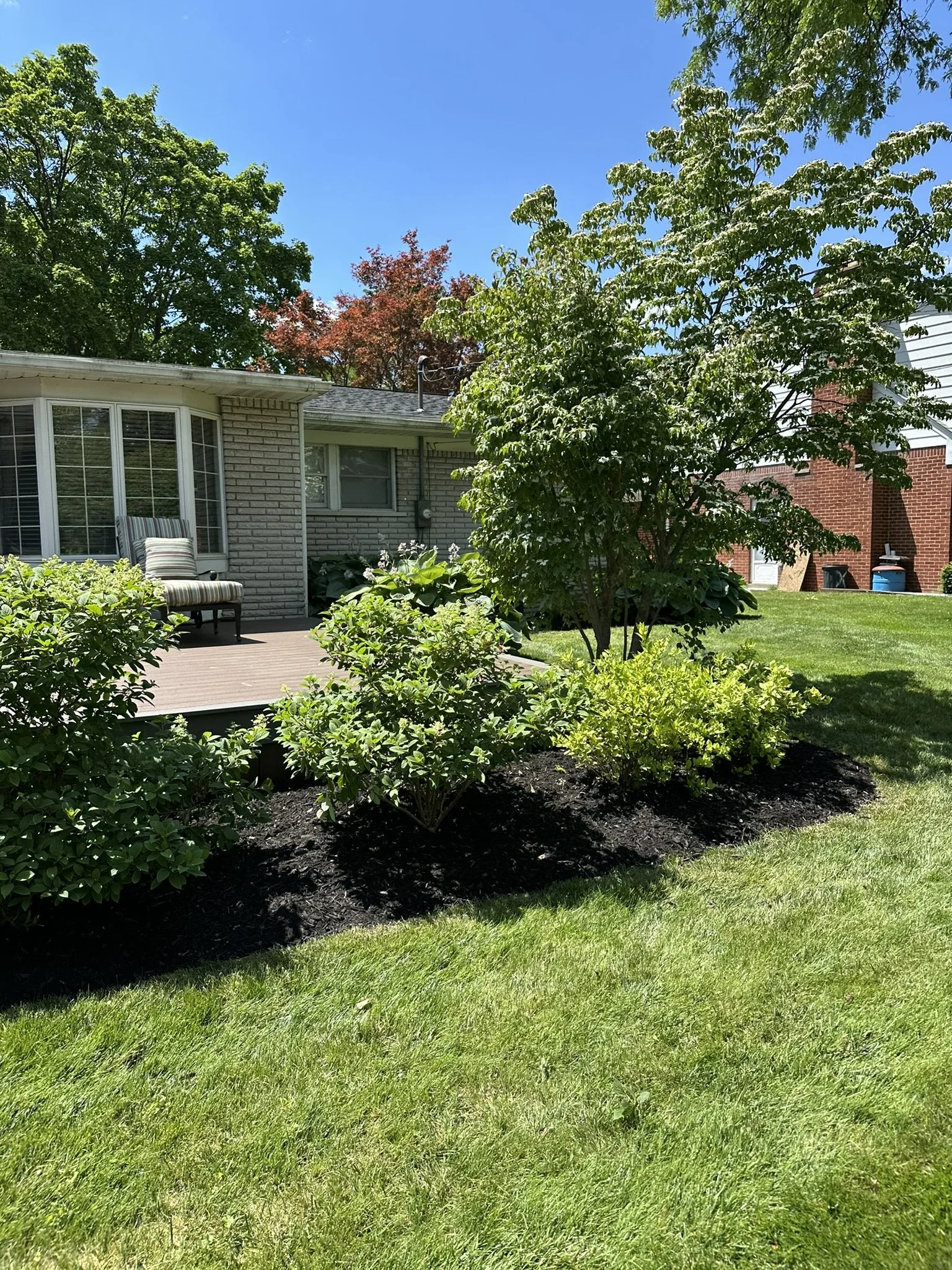 A backyard garden with a green lawn, landscaped plants, and a house with a patio. The patio has a chair with striped cushions, and there are trees with green and red leaves against a blue sky.