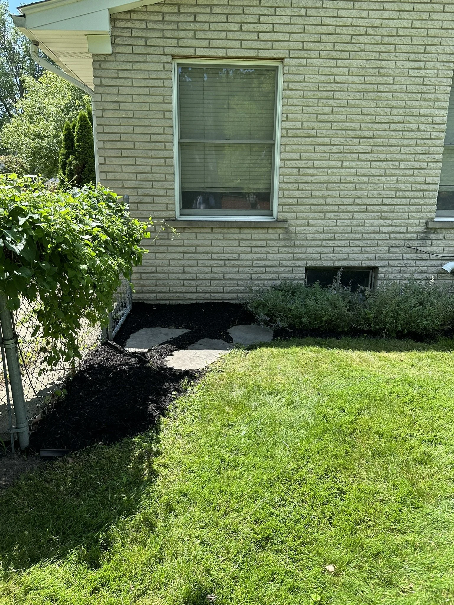 A small landscaped backyard area with a brick house wall, a green shrub, a chain-link fence, and a grassy lawn with a patch of freshly mulched garden bed and stepping stones.