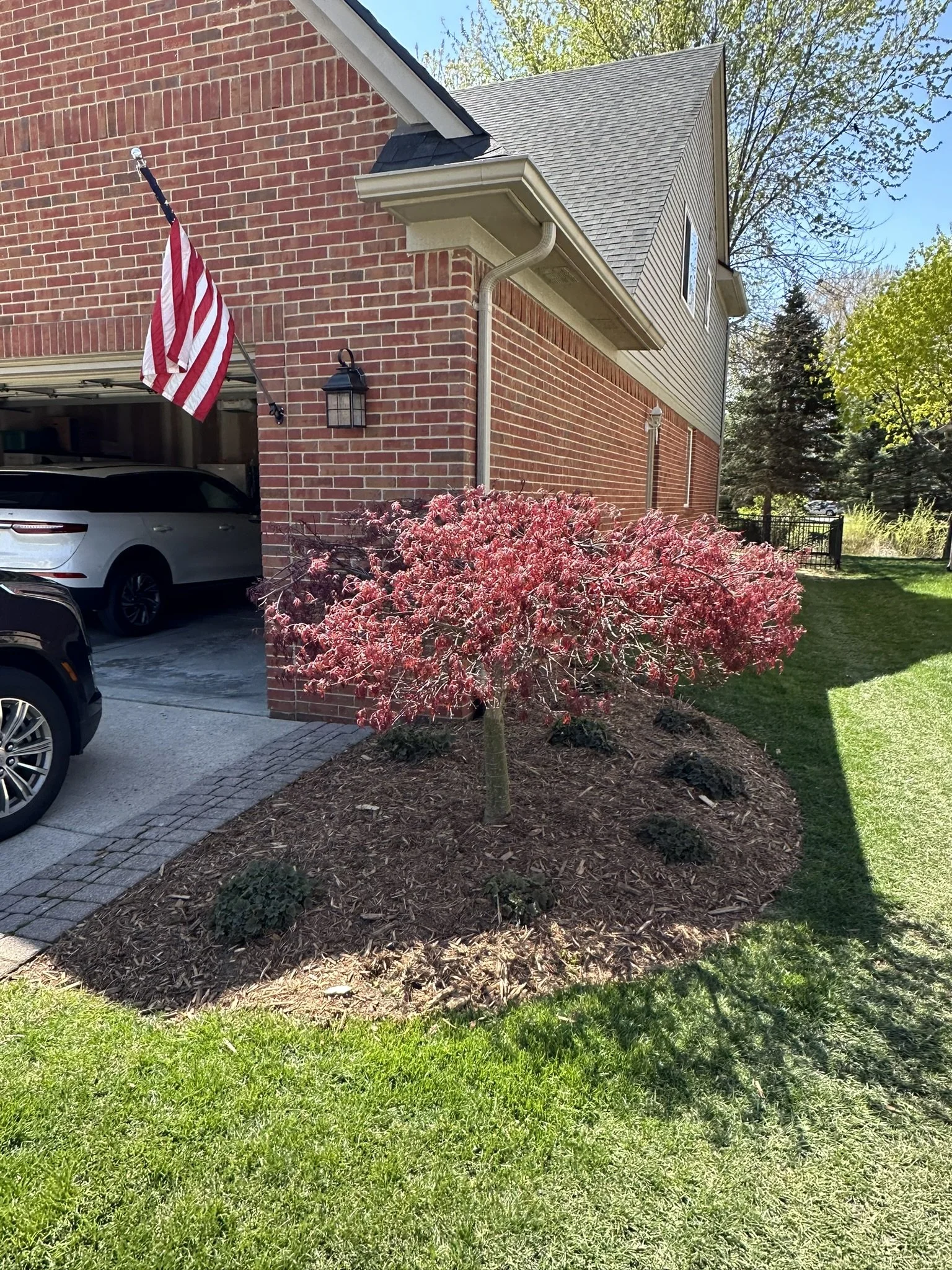 A small pink-leaved tree planted in a mulched garden bed in front of a brick house with a gray shingled roof. An American flag hangs on the house near a garage. Two parked cars are visible on the driveway, and there is a grassy yard with green trees 