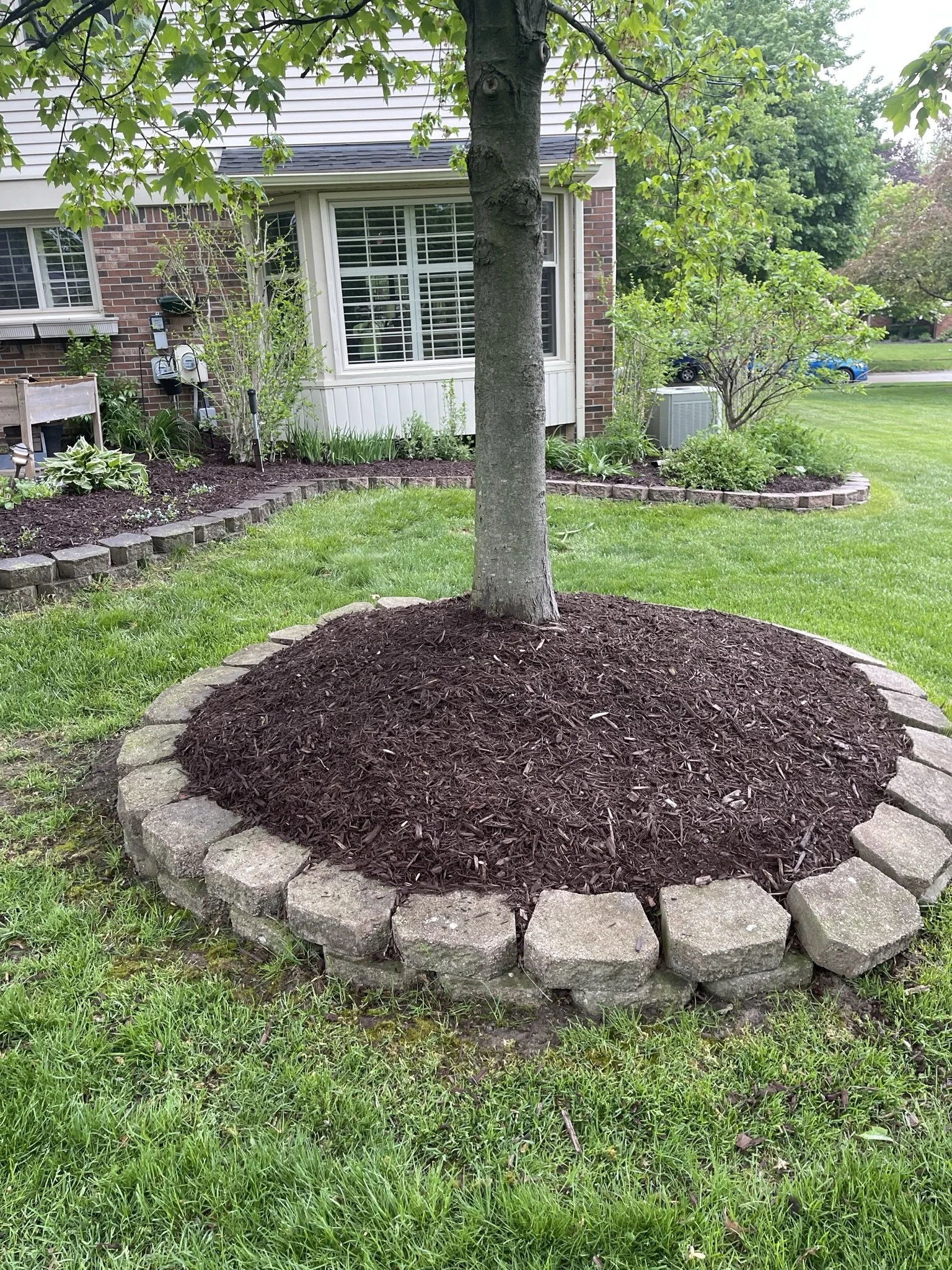 A tree with a mulch bed and a stone border in a well-manicured backyard near a house with large windows and siding.