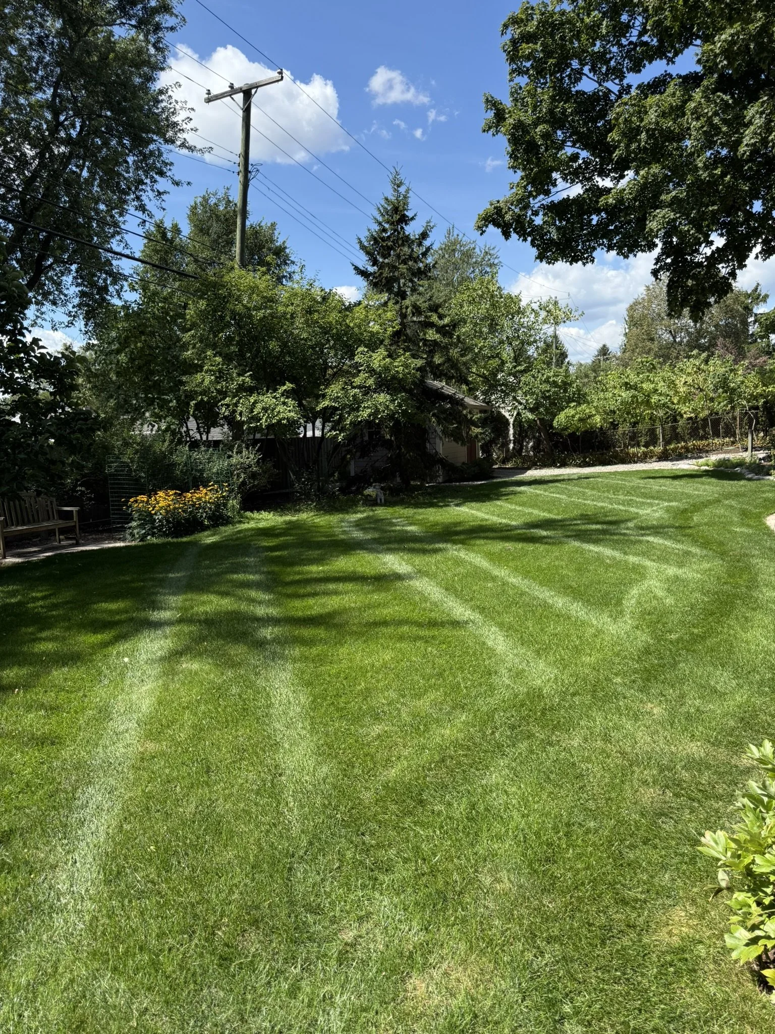 A well-maintained grassy backyard with visible mower lines, surrounded by trees and bushes, under a blue sky with some clouds.
