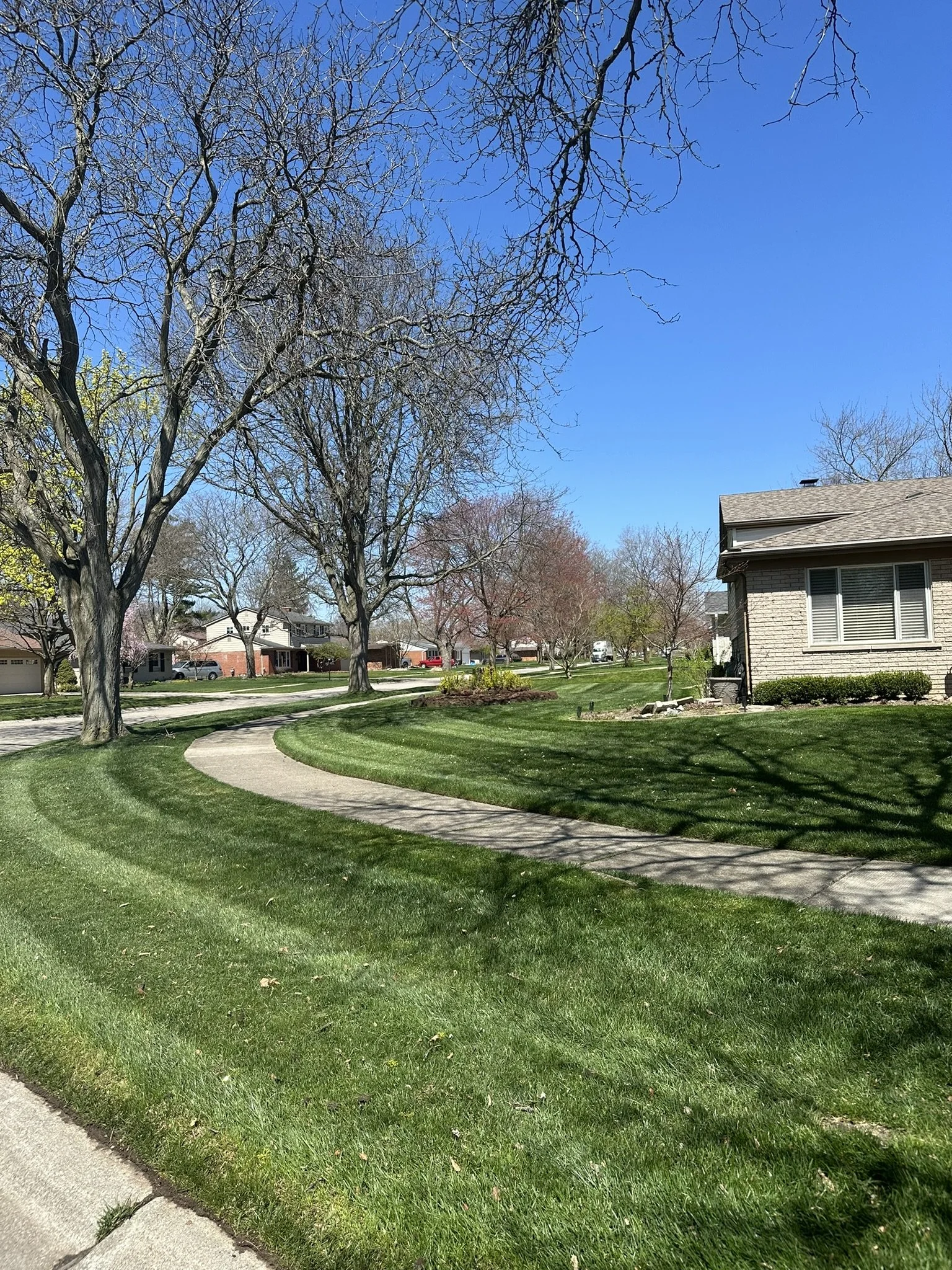 A suburban neighborhood with leafless trees, a well-maintained green lawn, a winding concrete sidewalk, and houses in the background under a clear blue sky.