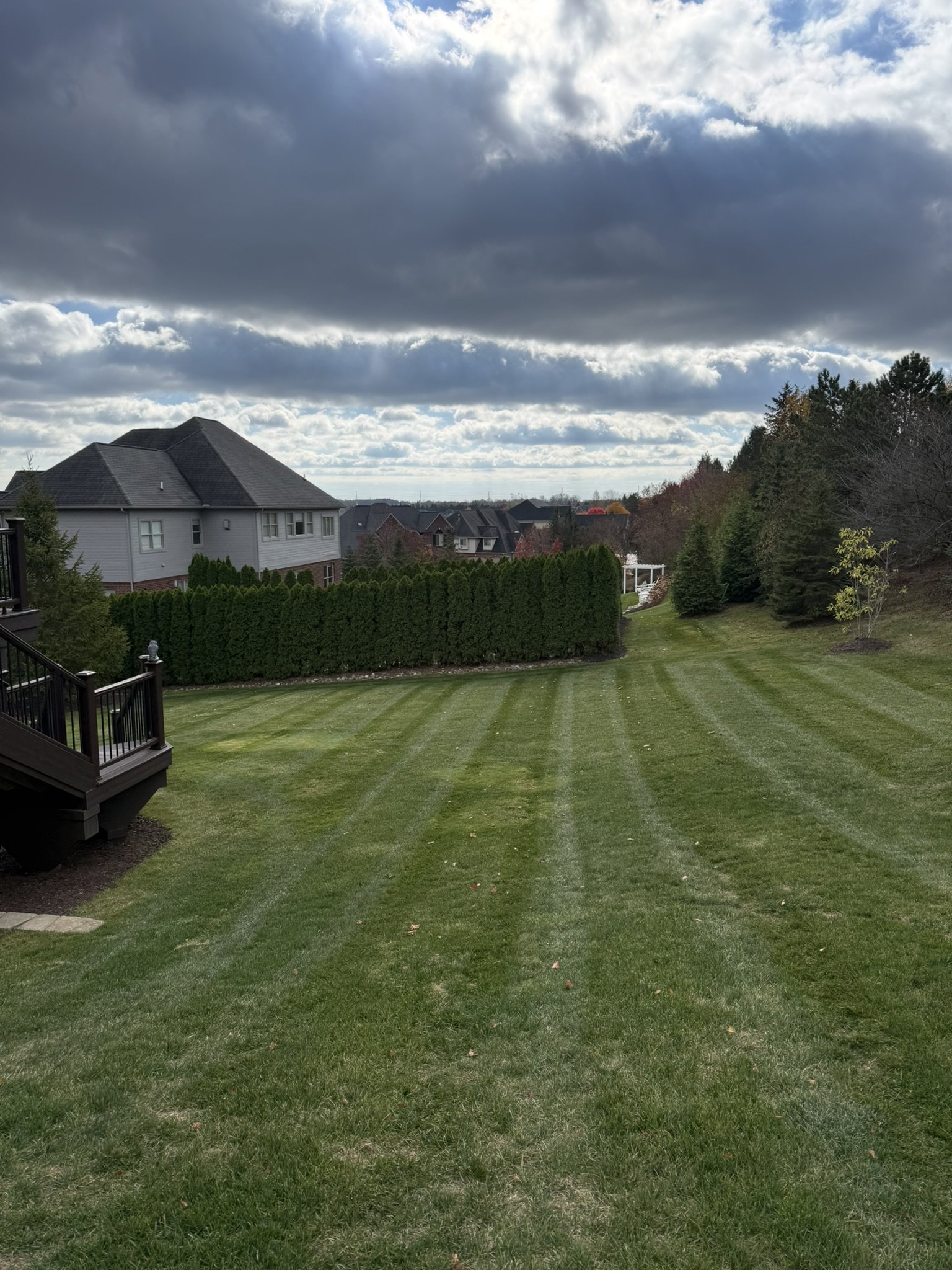 A backyard lawn with grass cut in stripes, surrounded by trees and houses, under a cloudy sky.
