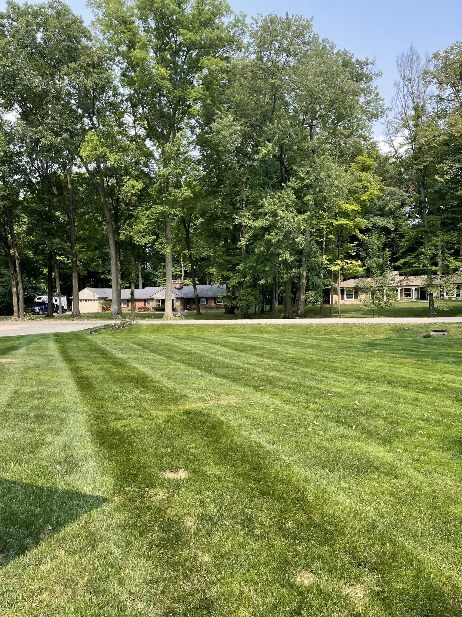 A view of a well-maintained grassy lawn with tire tracks, a sidewalk, and a line of trees and houses in the background on a clear day.