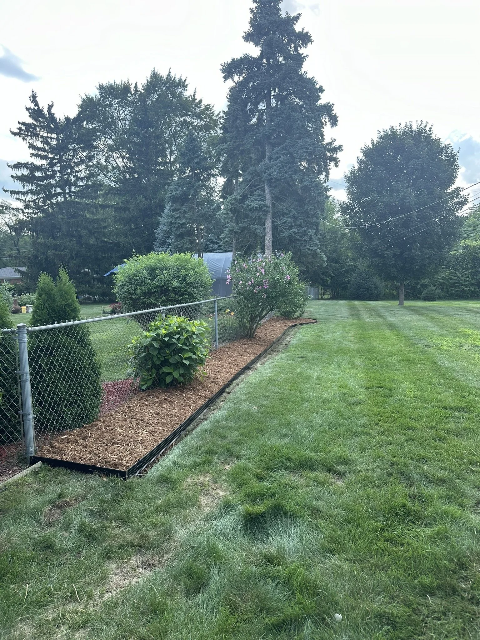 A backyard with a green lawn, garden bed with mulch and various shrubs, a chain-link fence, and tall trees in the background. The sky is partly cloudy.
