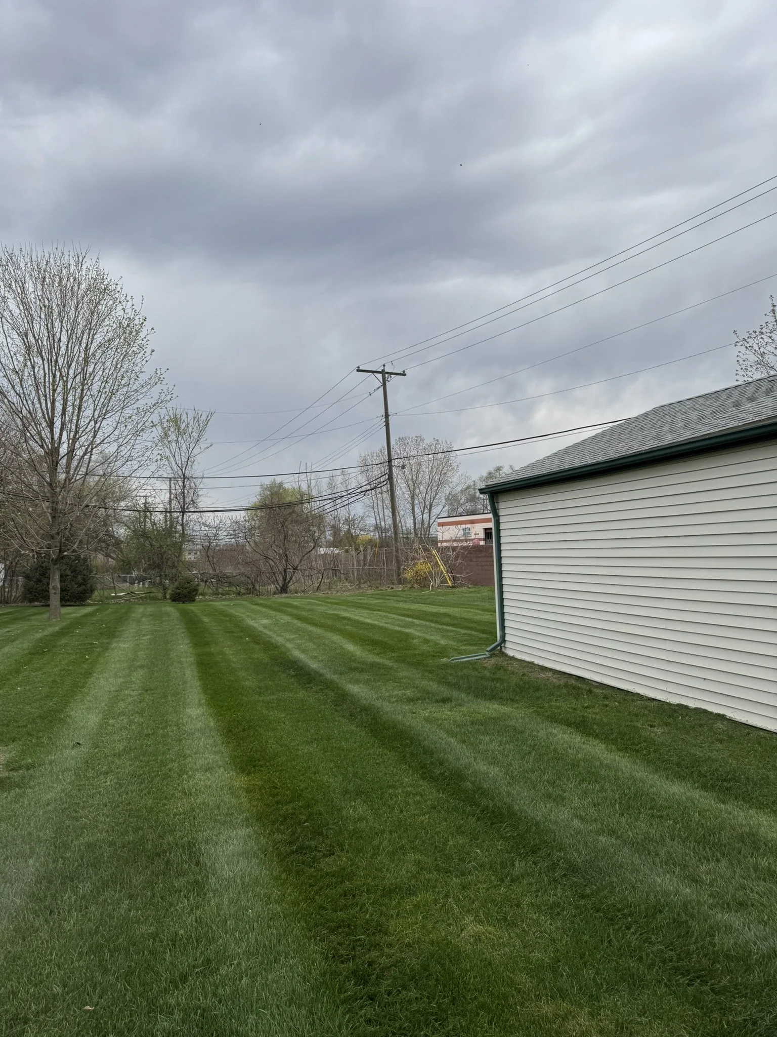 Green backyard with freshly mowed grass and striped lawn, a white house with green trim on the right, leafless trees, power lines, and a cloudy sky overhead.