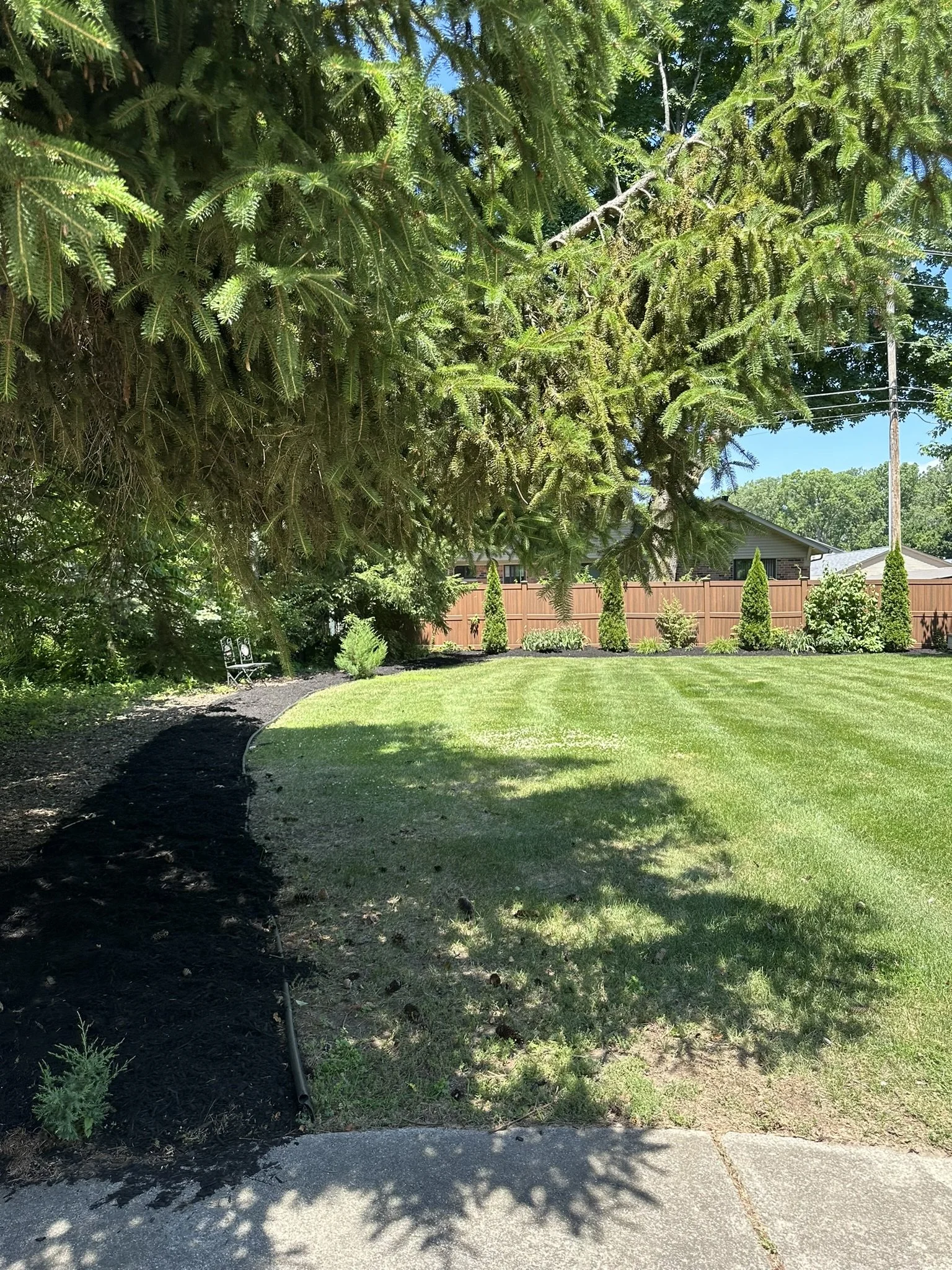 A well-maintained backyard with a lush green lawn, a curved garden bed with dark mulch and a small shrub, a metal bench under a large tree, and a wooden fence with evenly spaced tall shrubs in the background. Blue sky visible overhead.