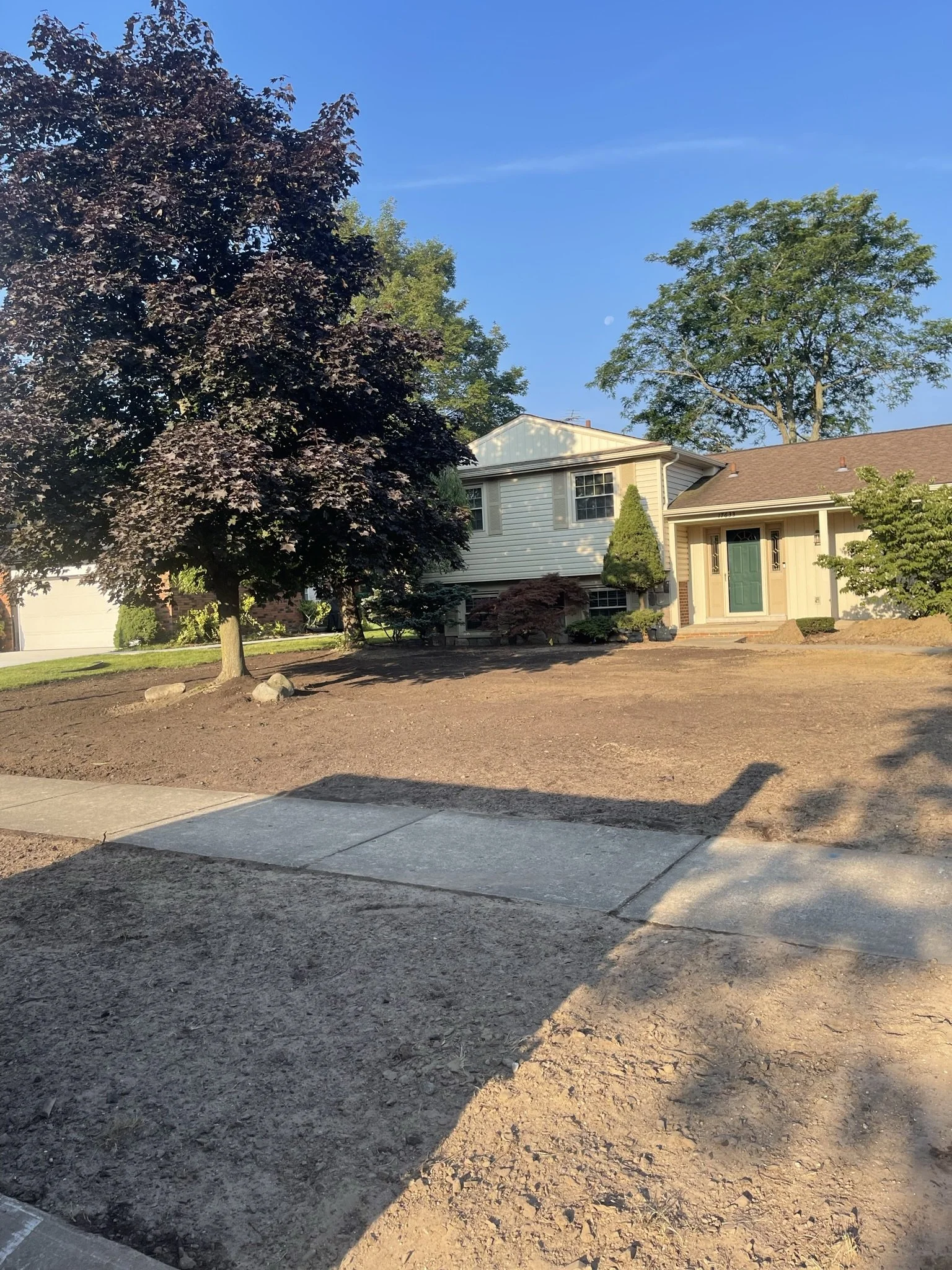 Front yard of a house with trees, a concrete sidewalk, and a partly disturbed dirt area, under clear blue sky.