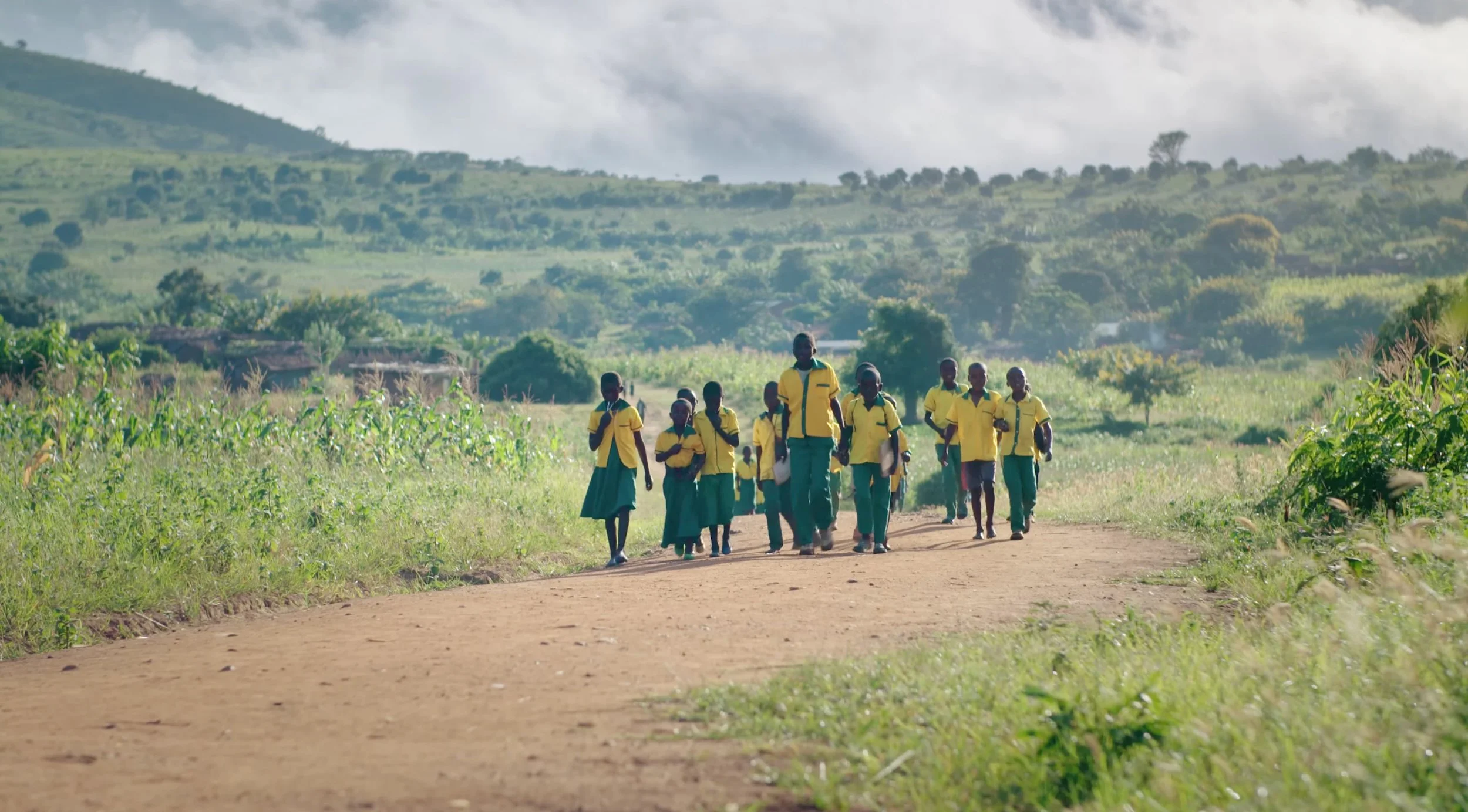 tdd imagine walking.jpg