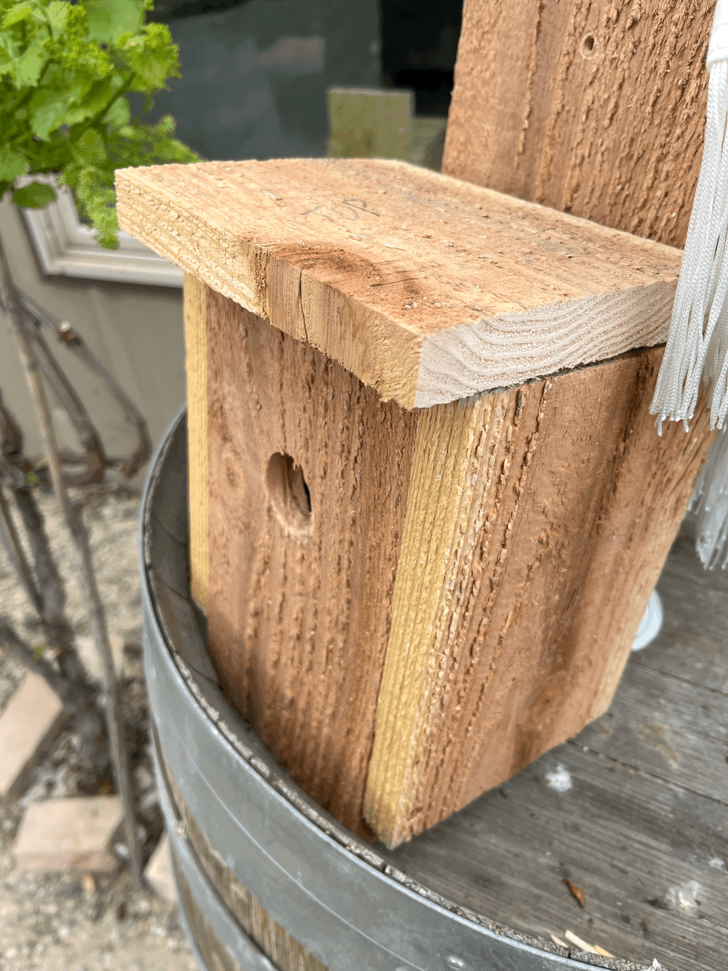 Bird boxes