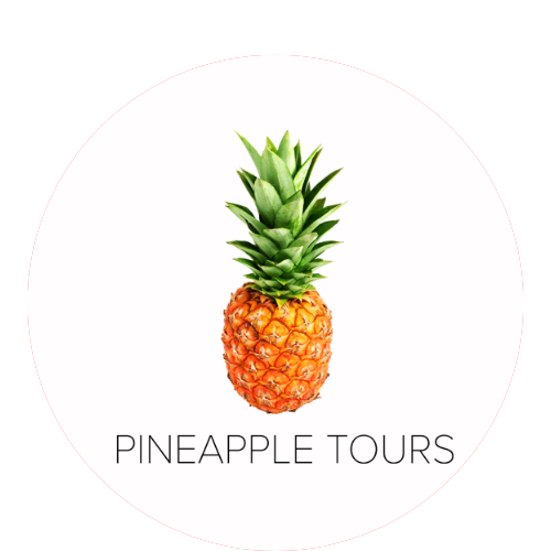 Pineapple logo large round.png