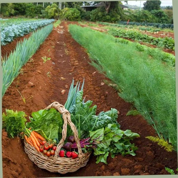 Honouring Farm Traditions