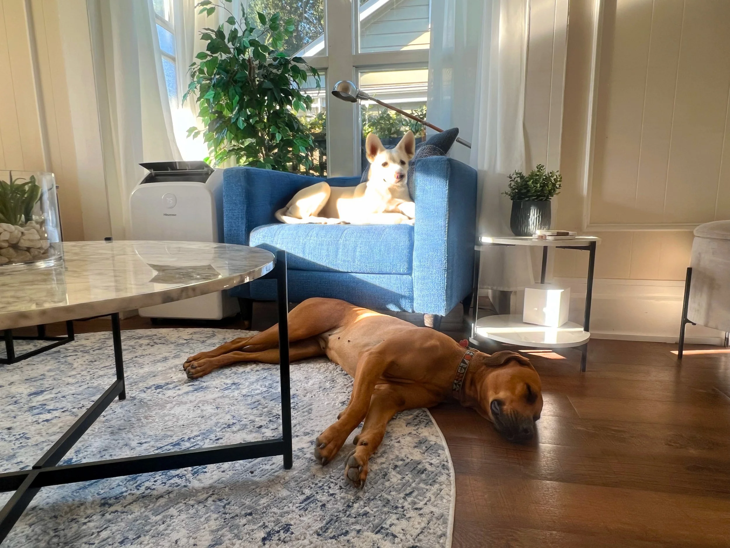 Living Room 1.jpg