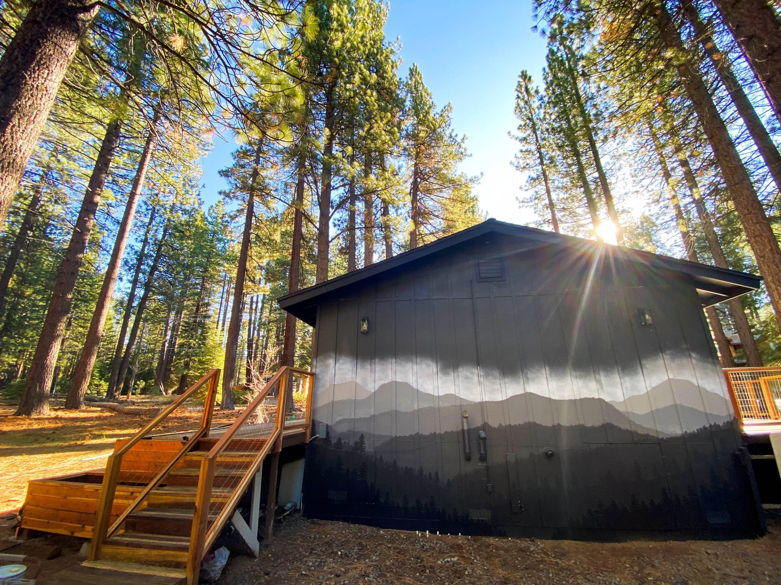 55. TAHOE BEAR CHALET CABIN.jpg