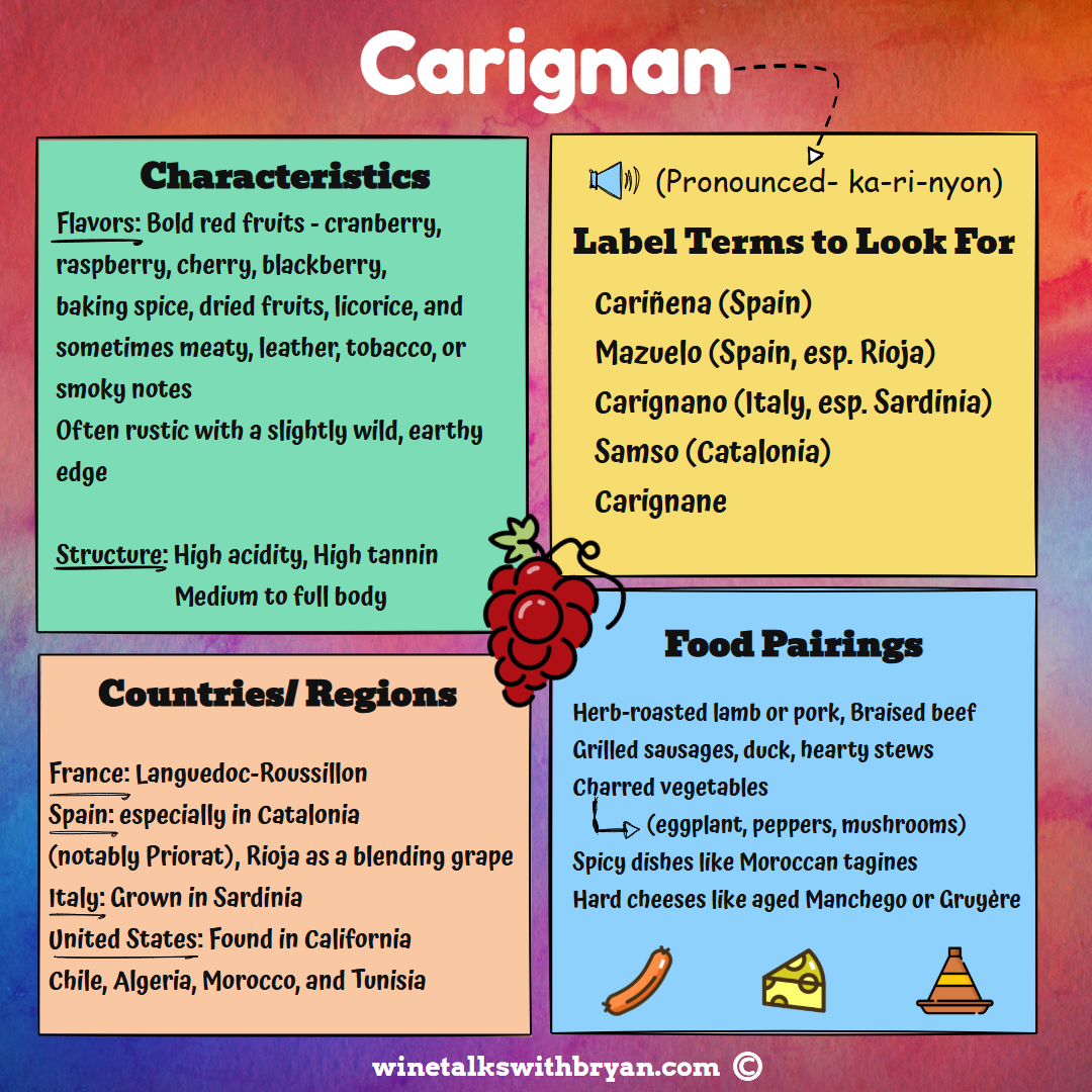 Colorful infographic about Carignan wine grape variety, including characteristics, regions, and food pairings.