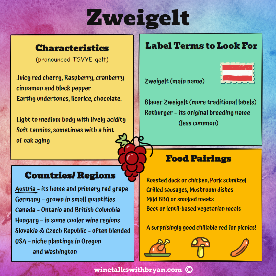 Educational infographic about Zweigelt wine, including characteristics, label terms, country regions, and food pairings, with illustrations of grapes and food items.