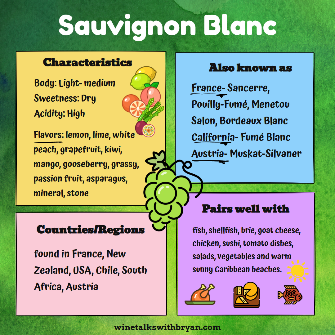 Infographic about Sauvignon Blanc wine, with characteristics, countries where it is found, and pairings. Shows grape illustrations, and icons for seafood, cheese, and sun.