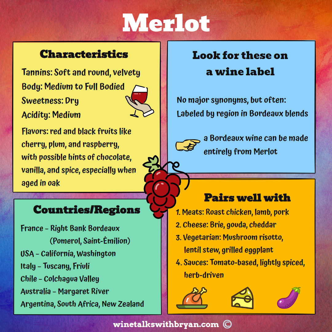 Infographic about Merlot wine, covering characteristics, label hints, regions, and pairing suggestions. Features a bunch of grapes, wine glass, and food icons, with colorful sections and a rainbow background.