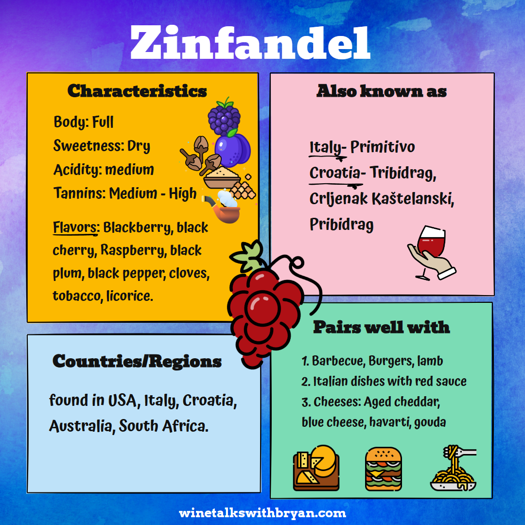 Infographic about the grape variety Zinfandel, including its characteristics, also known as Italy Primitivo, Croatia Tribidrag, and Crljenak Kaštelanski. It lists flavor notes like blackberry, raspberry, and black cherry, and pairs well with barbecue